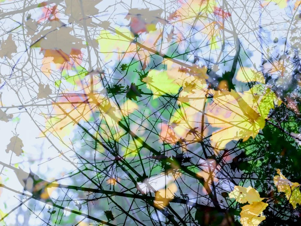 Reflection, 2024. Photography