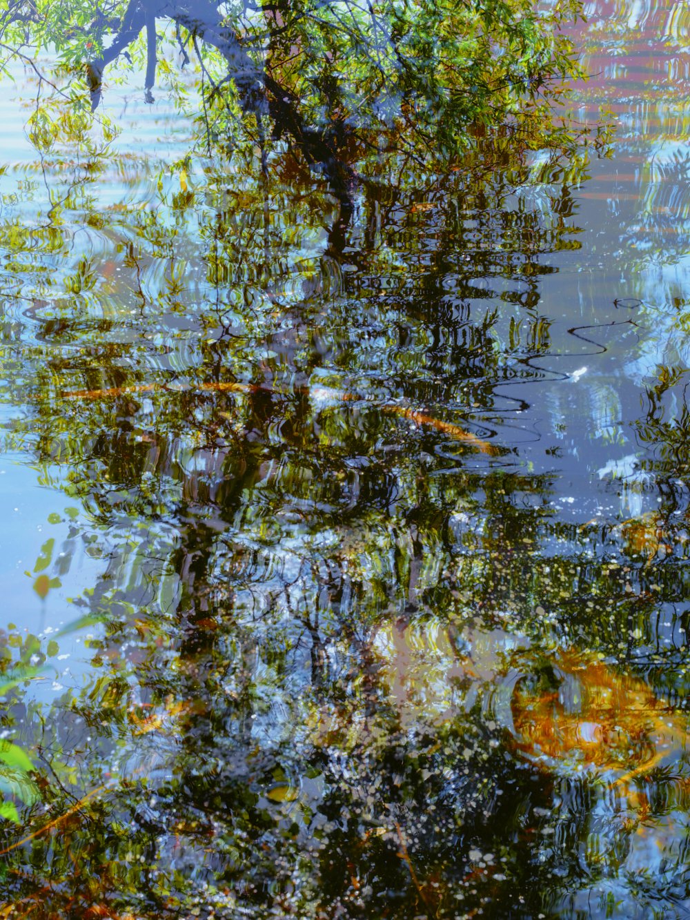 Quintessence, 2024. Photography, gyclee-print