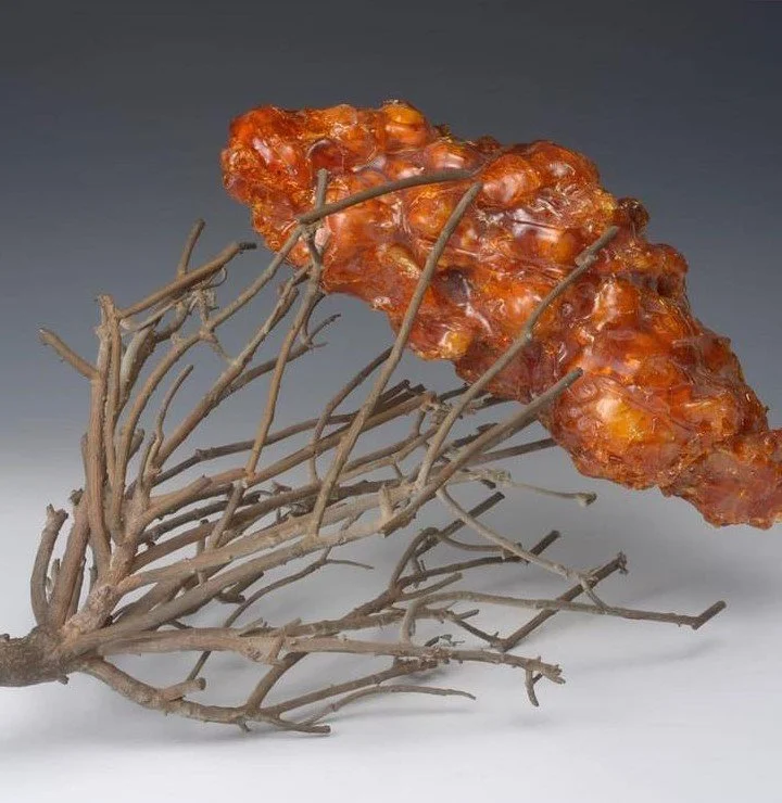 Nature 1, 2021 45 x 25 x 30 , natural raisin and bronze