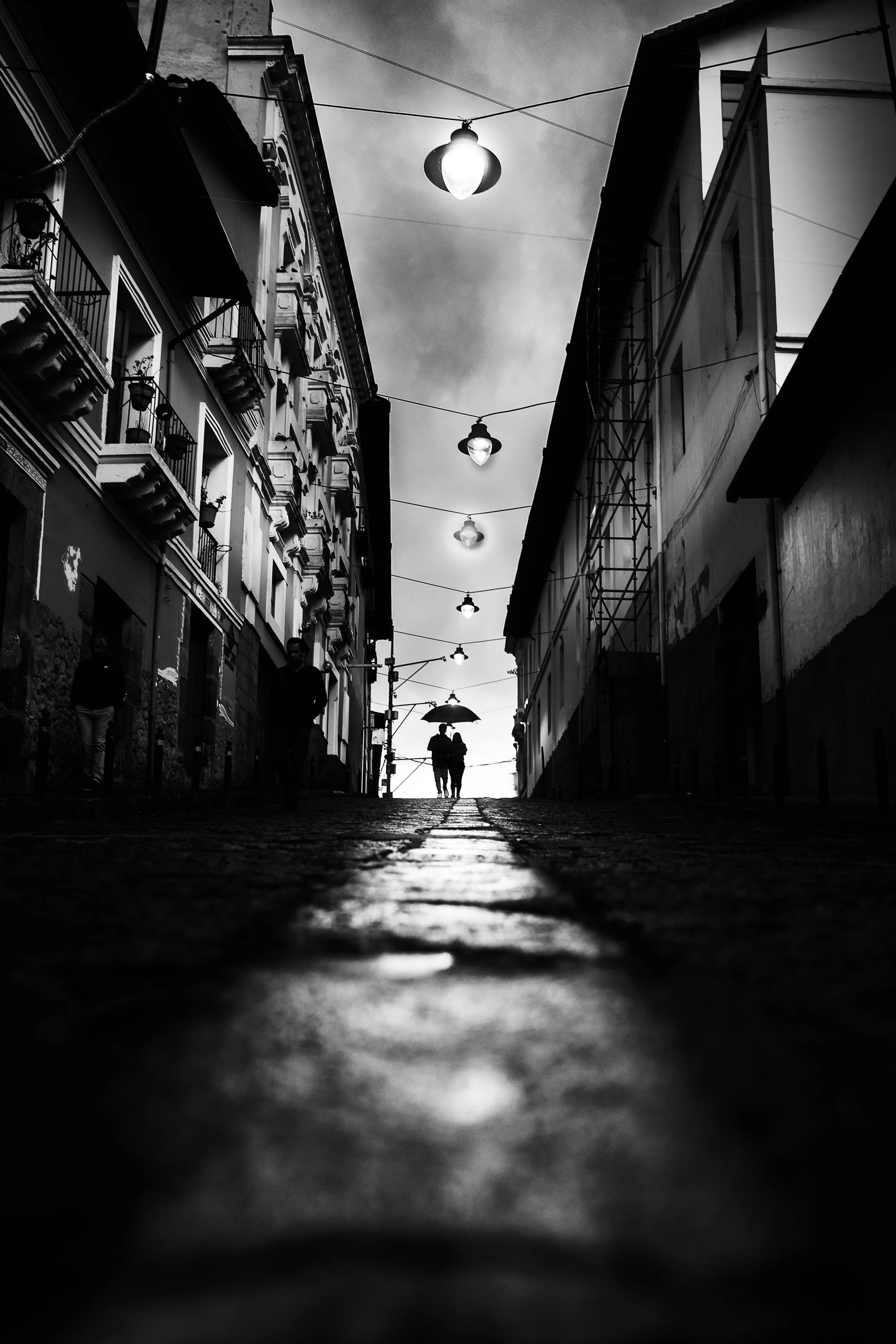 La Ronda Drizzle, 2024