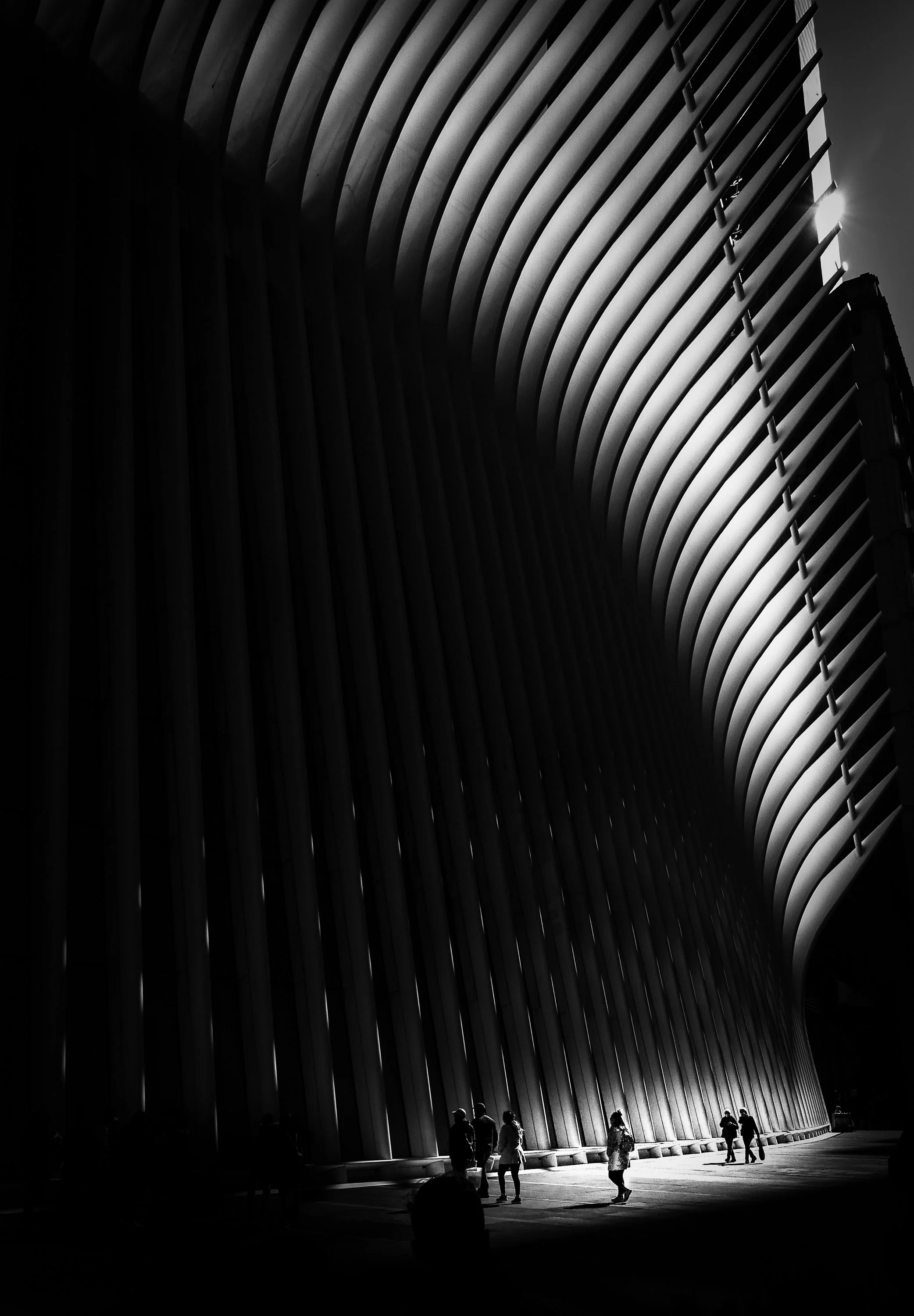 Shadows of the Oculus, 2022