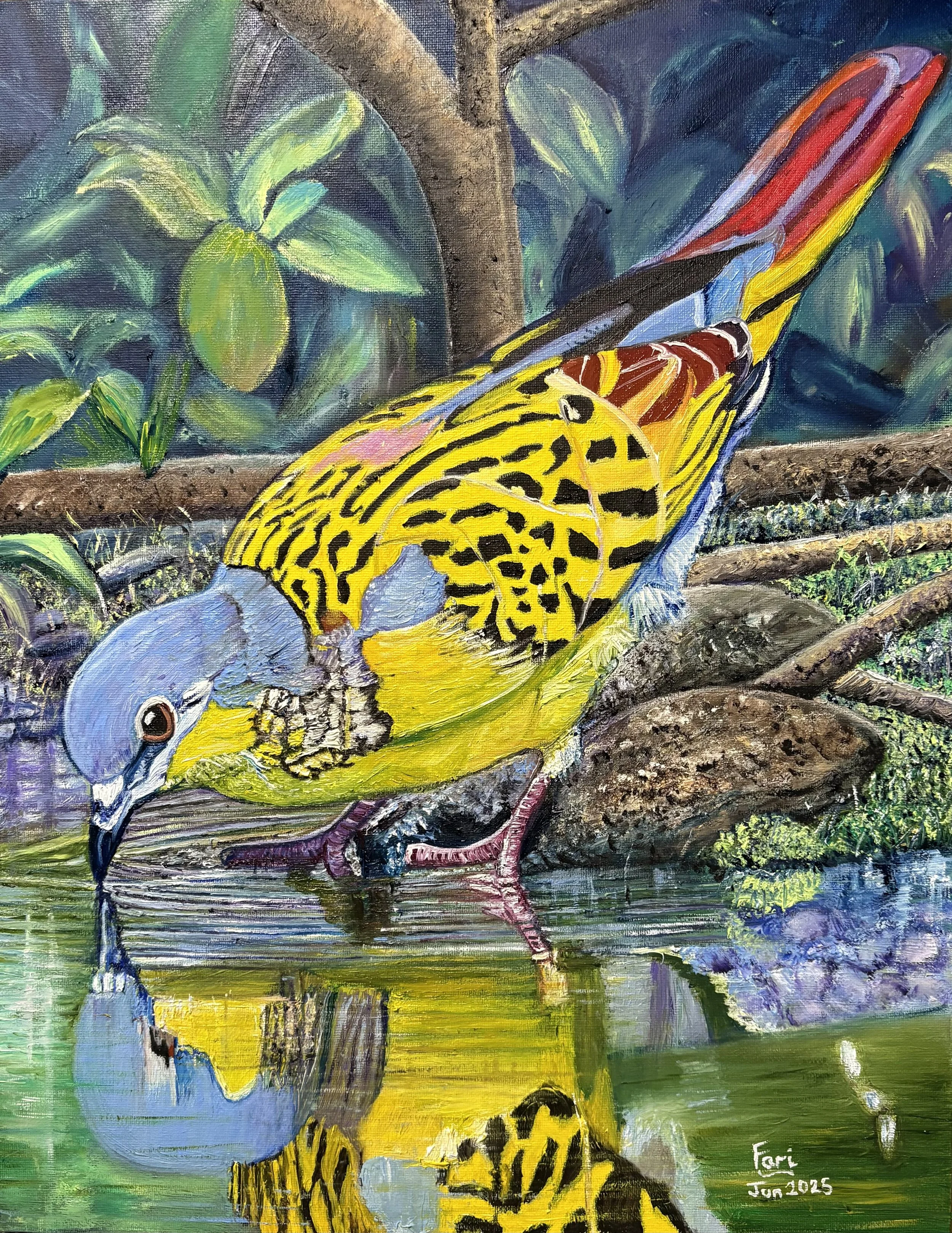 European Turtle Dove, 2025