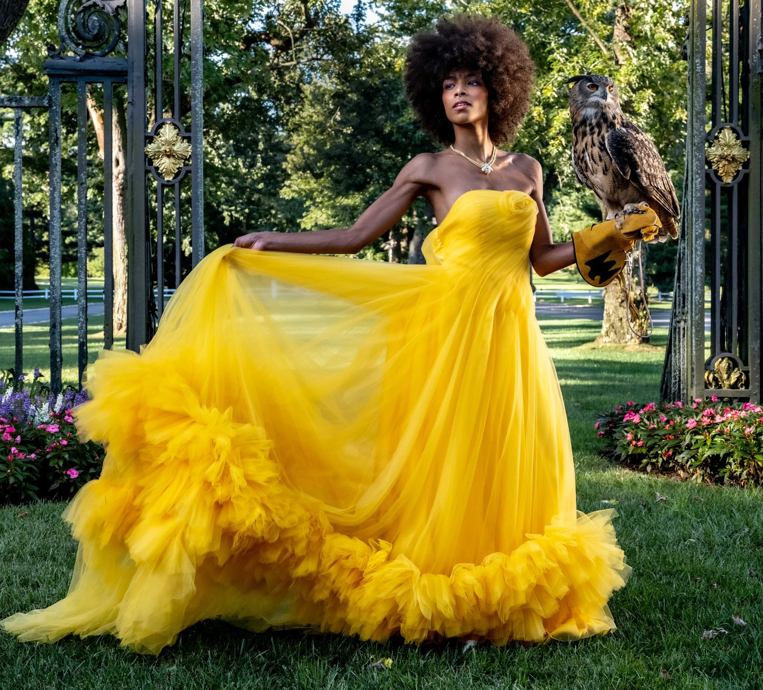 Beauty and the Raptor 2022