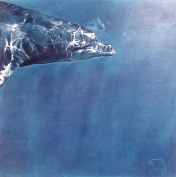 Dolphin, acrylic on canvas, 100 x 100 cm, 2000