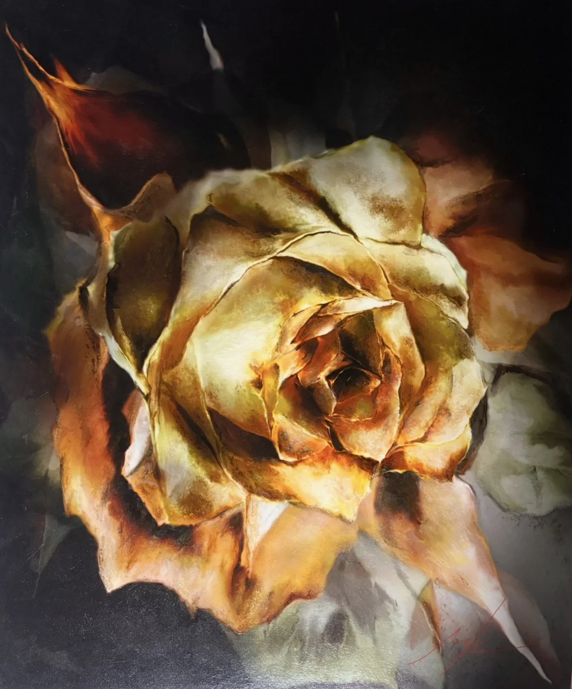 Searching for light, 2025