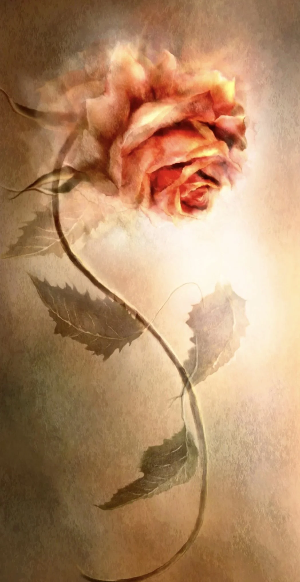 Aged beauty -The Joy of Conception