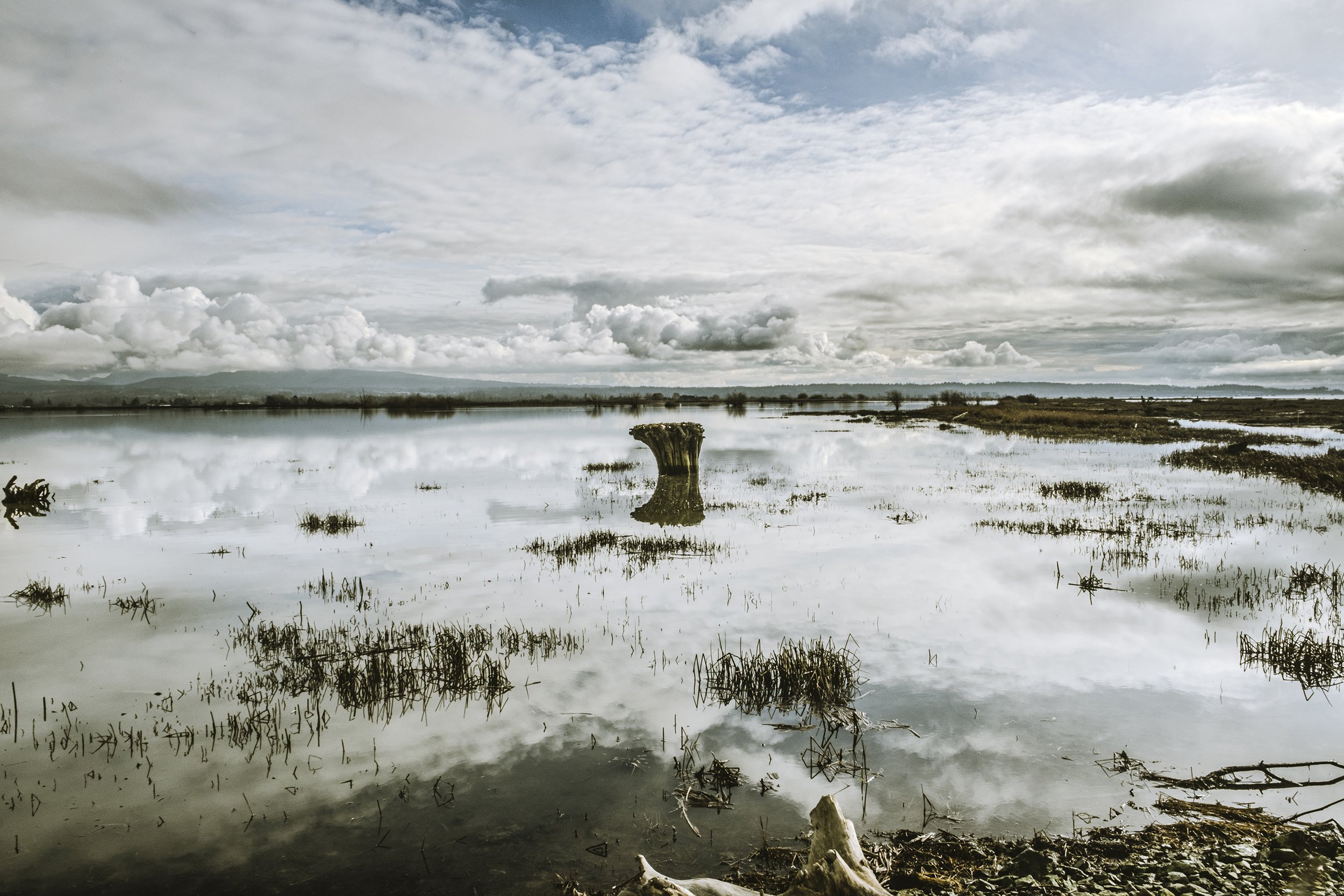 Clouds at Skagit Valley, 2024, Photo, Size upon request