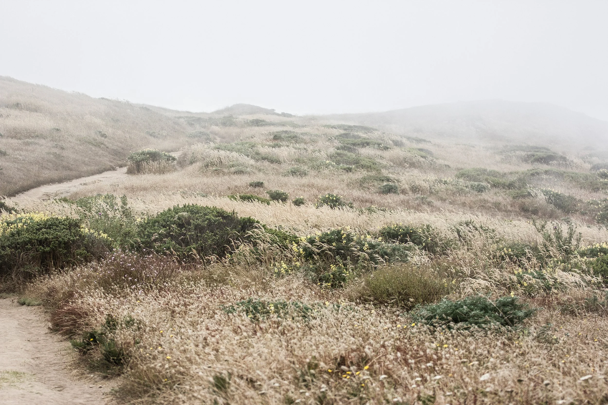 Through the Fog, 2019, Photo, Size upon request