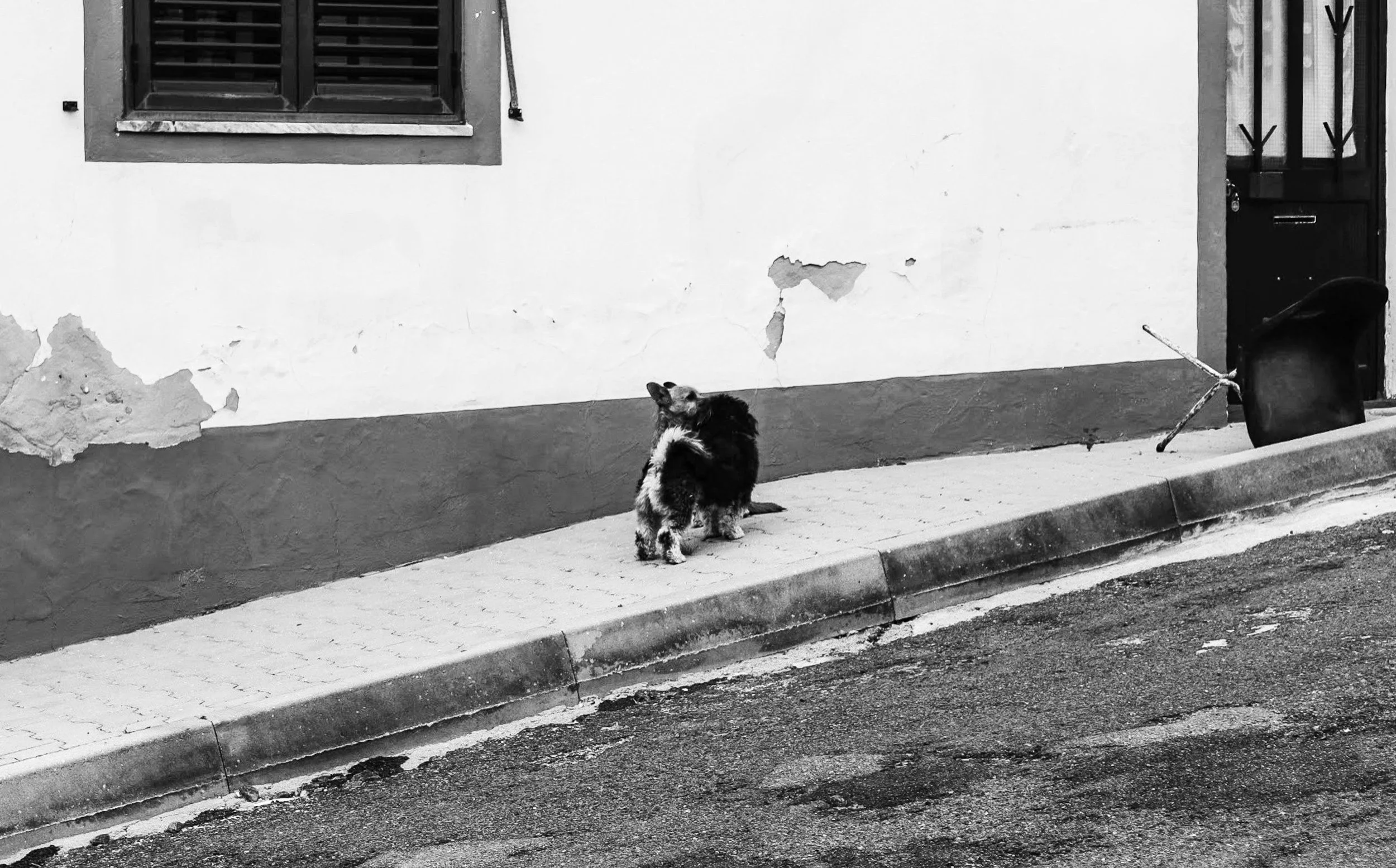 Forbidden Love, 2018. Digital photo, 3463 x 2147 pixels.