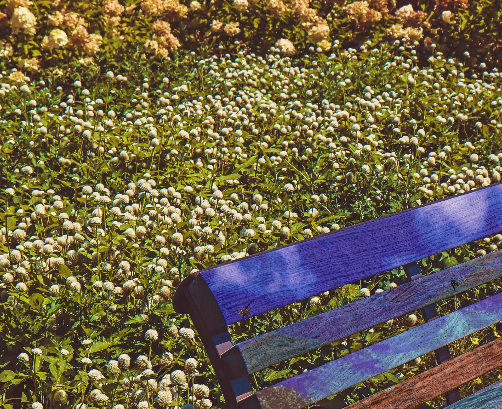 Walking in on Bees, 2025. Digital. 1024 × 819 pixels.