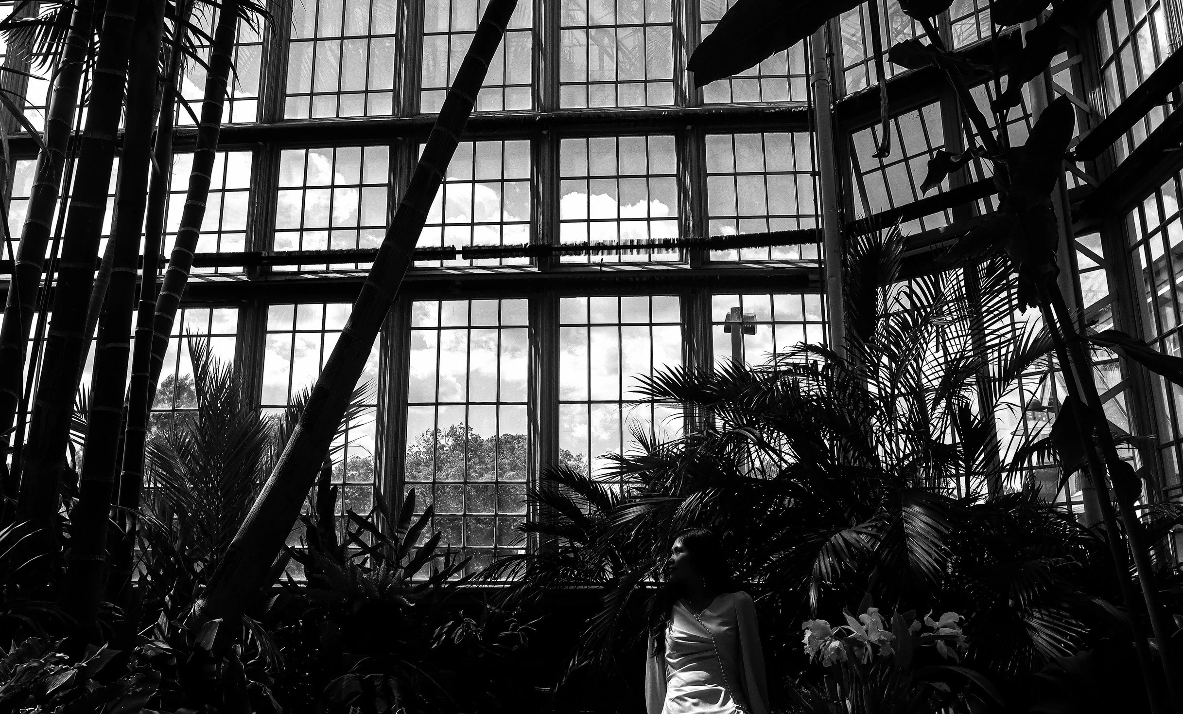 One Can Dream, 2025. Digital photo, 1024 × 605 pixels.