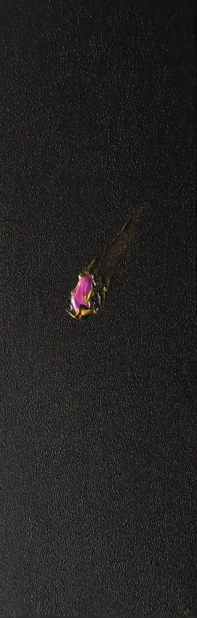 La Naissance de l'Etoile