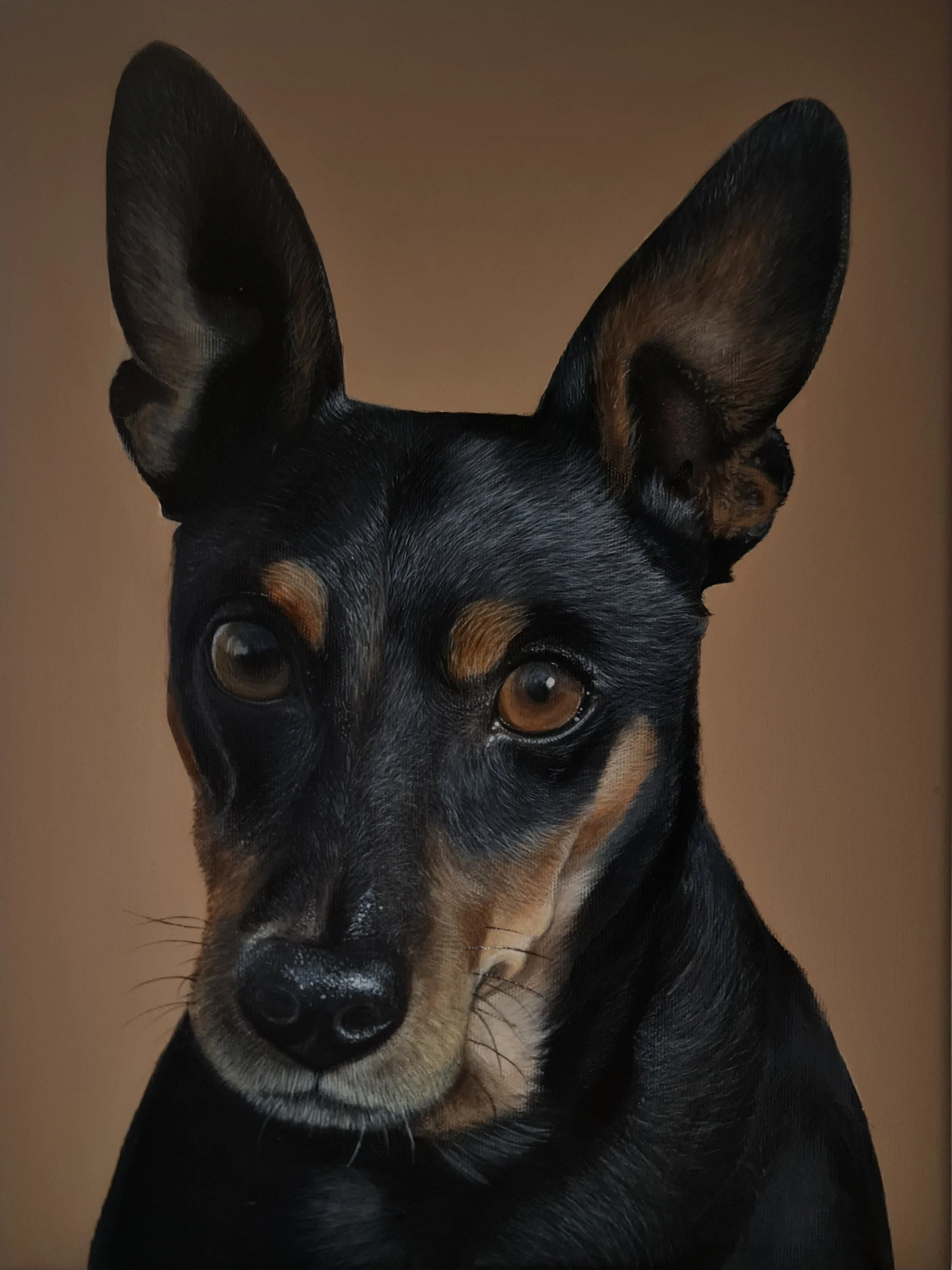 Skipper 2025 acrylic on canvas 40 cm x 30 cm