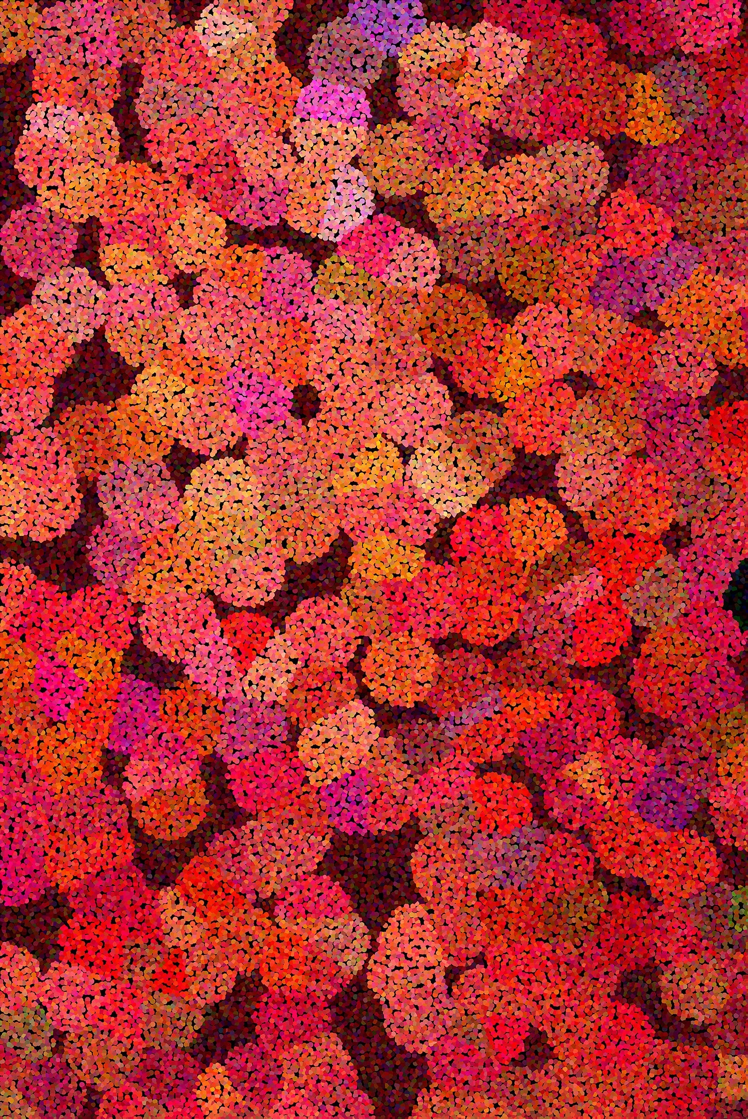 Interview with Ursa Schoepper