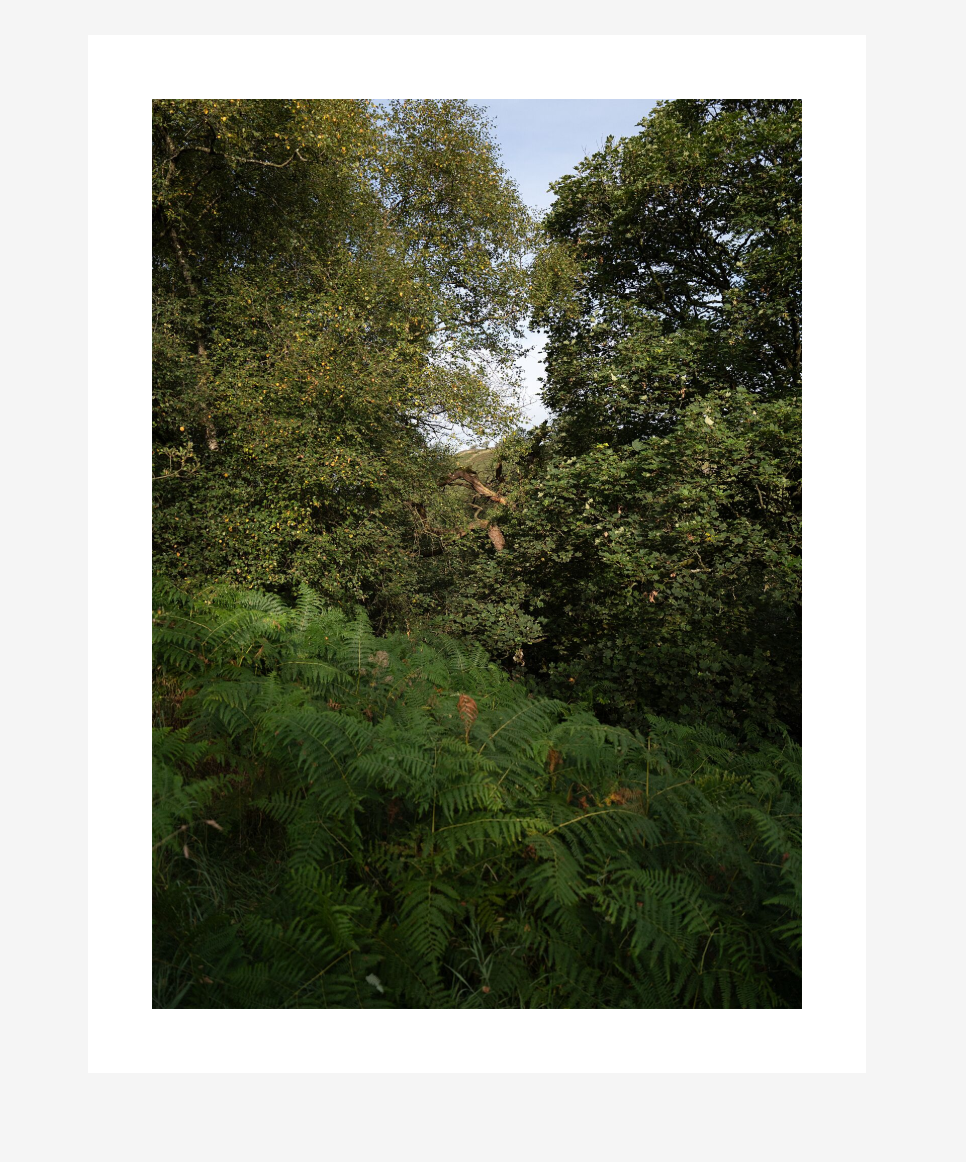 Screenshot 2026-01-07 144916.png