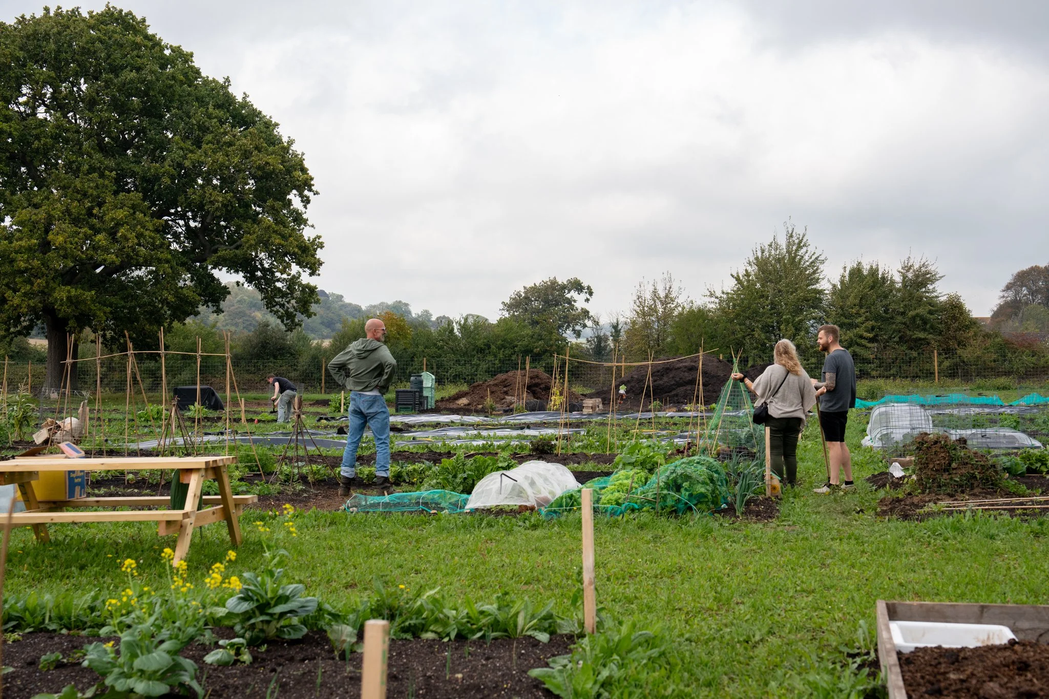Roots Allotments - Patching Meadows Grand Opening Event, Sept 2025-25.jpg