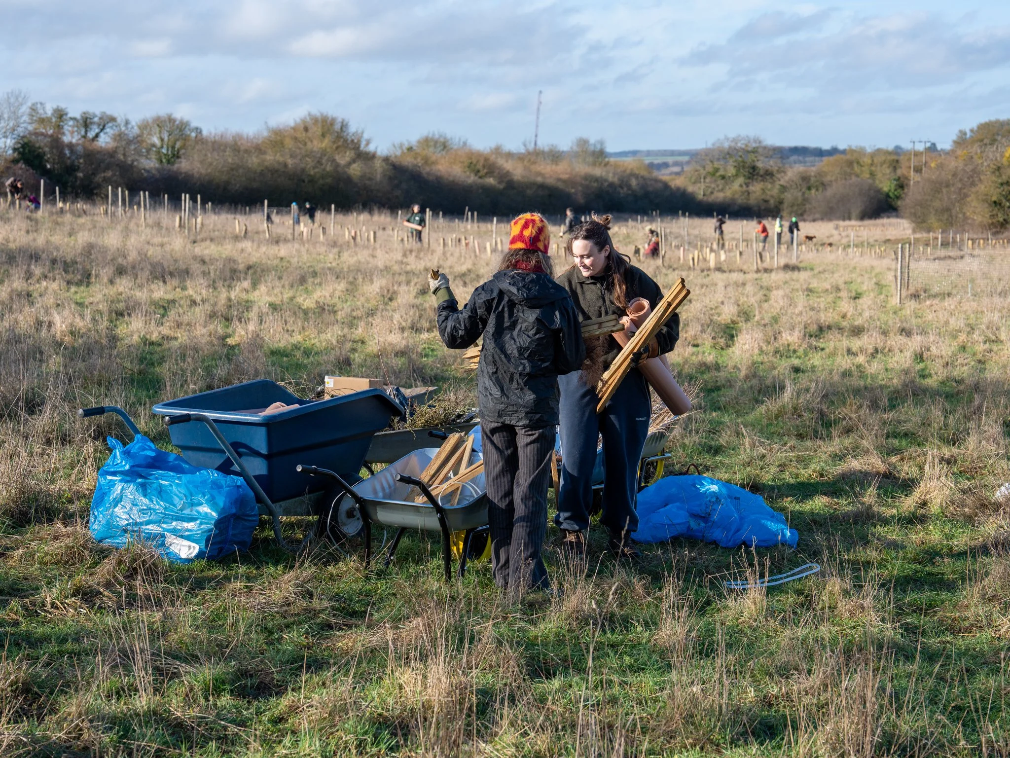 Youngwilders Wood Pasture Restoration, Pounce Hall, Essex, 24-01-26-15.jpg
