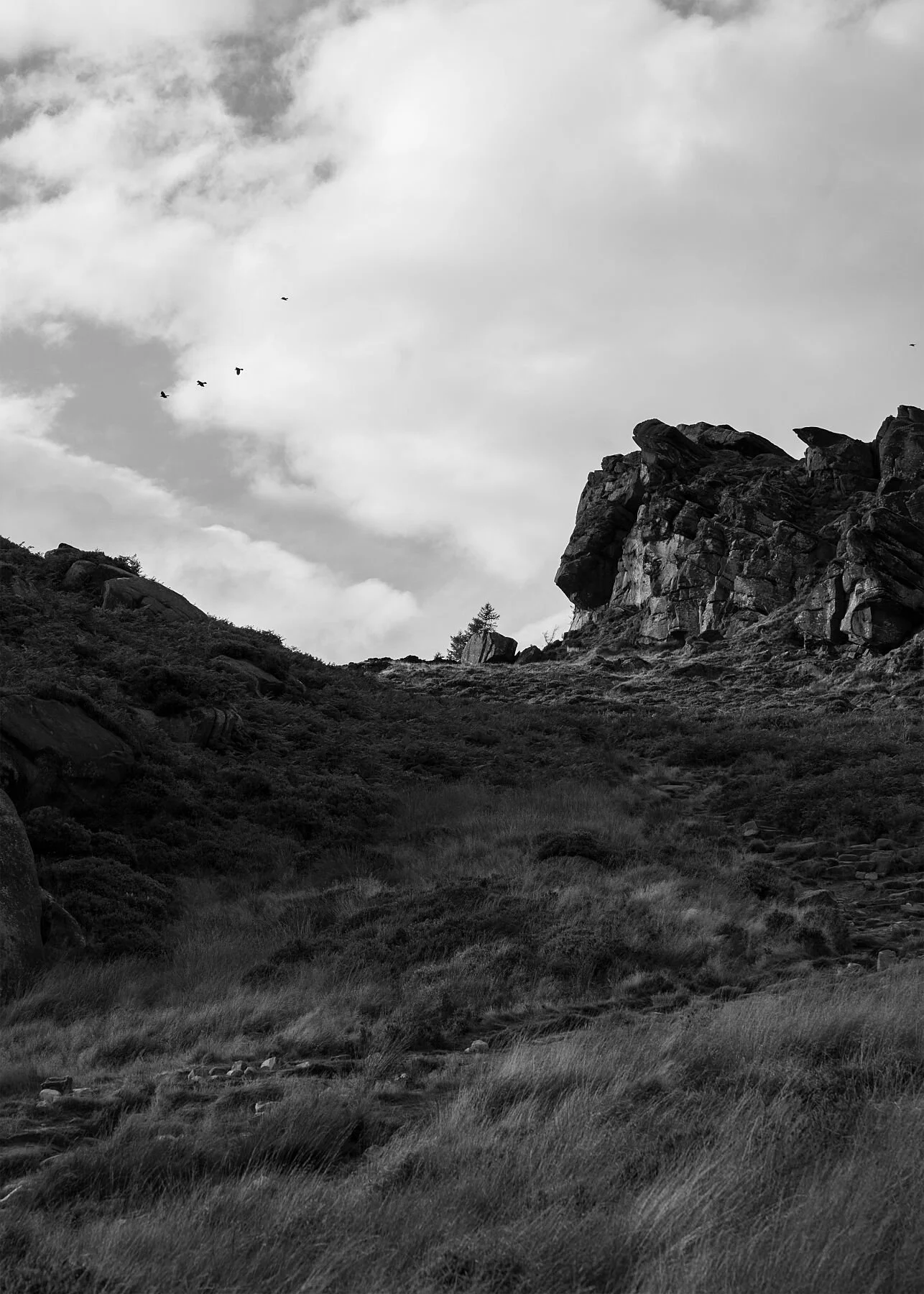 Undersong, The Roaches, Peak District National Park, 2025