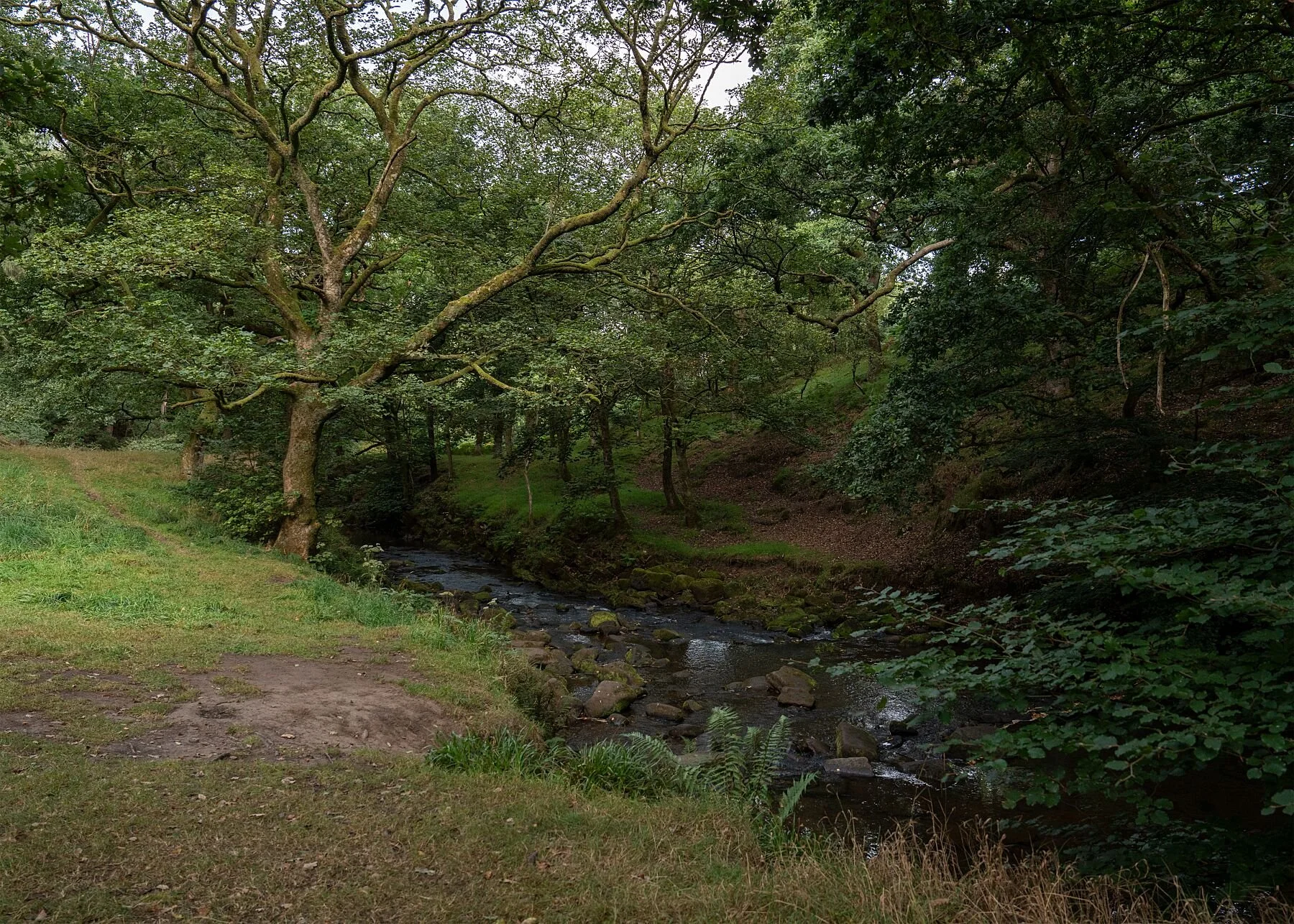 Observations on a Photowalk to Lud's Church 2025 #3