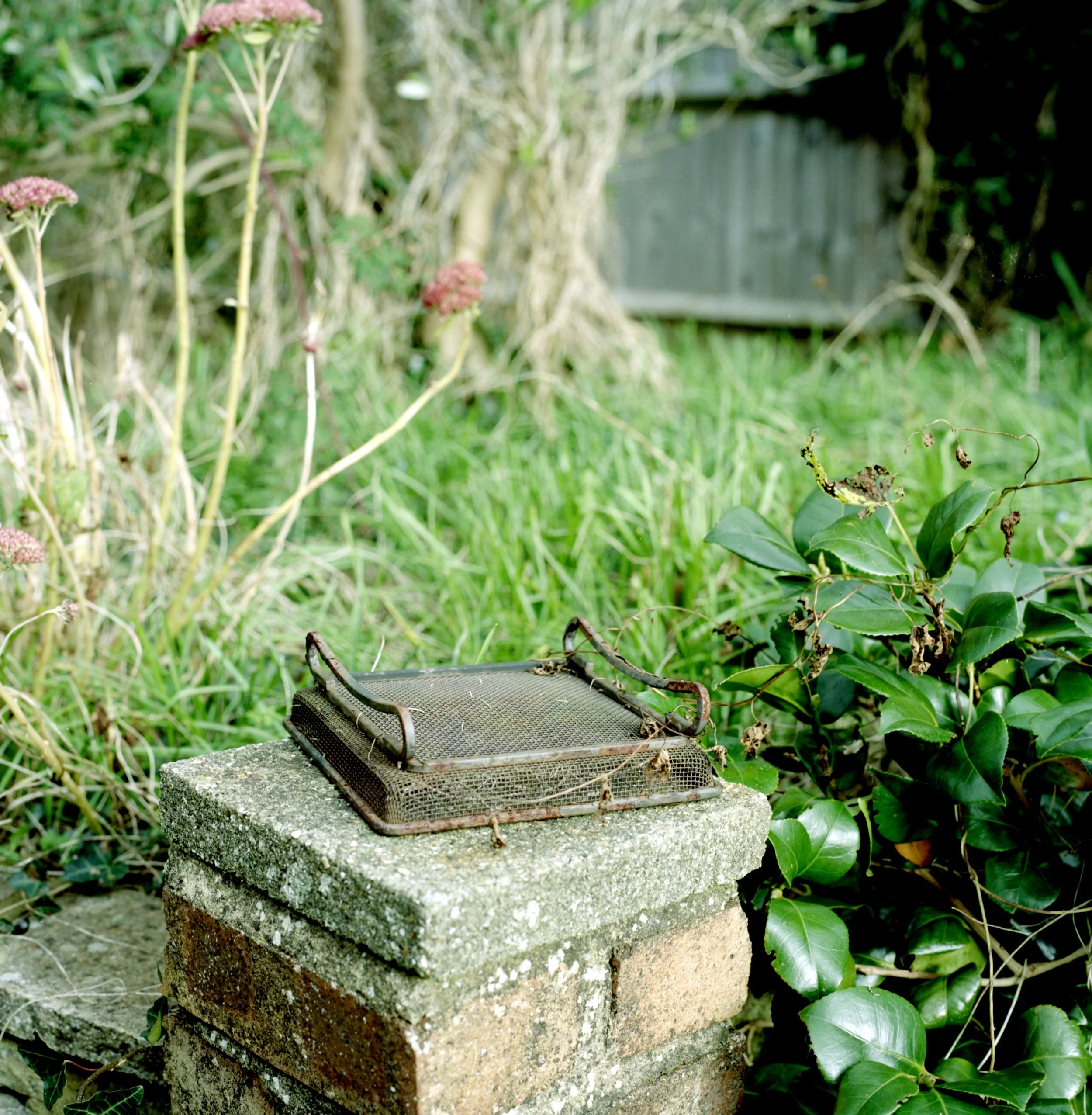 Larkfield Way  008.jpeg