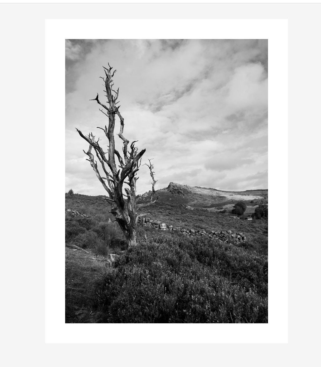 Screenshot 2026-01-07 143815.png