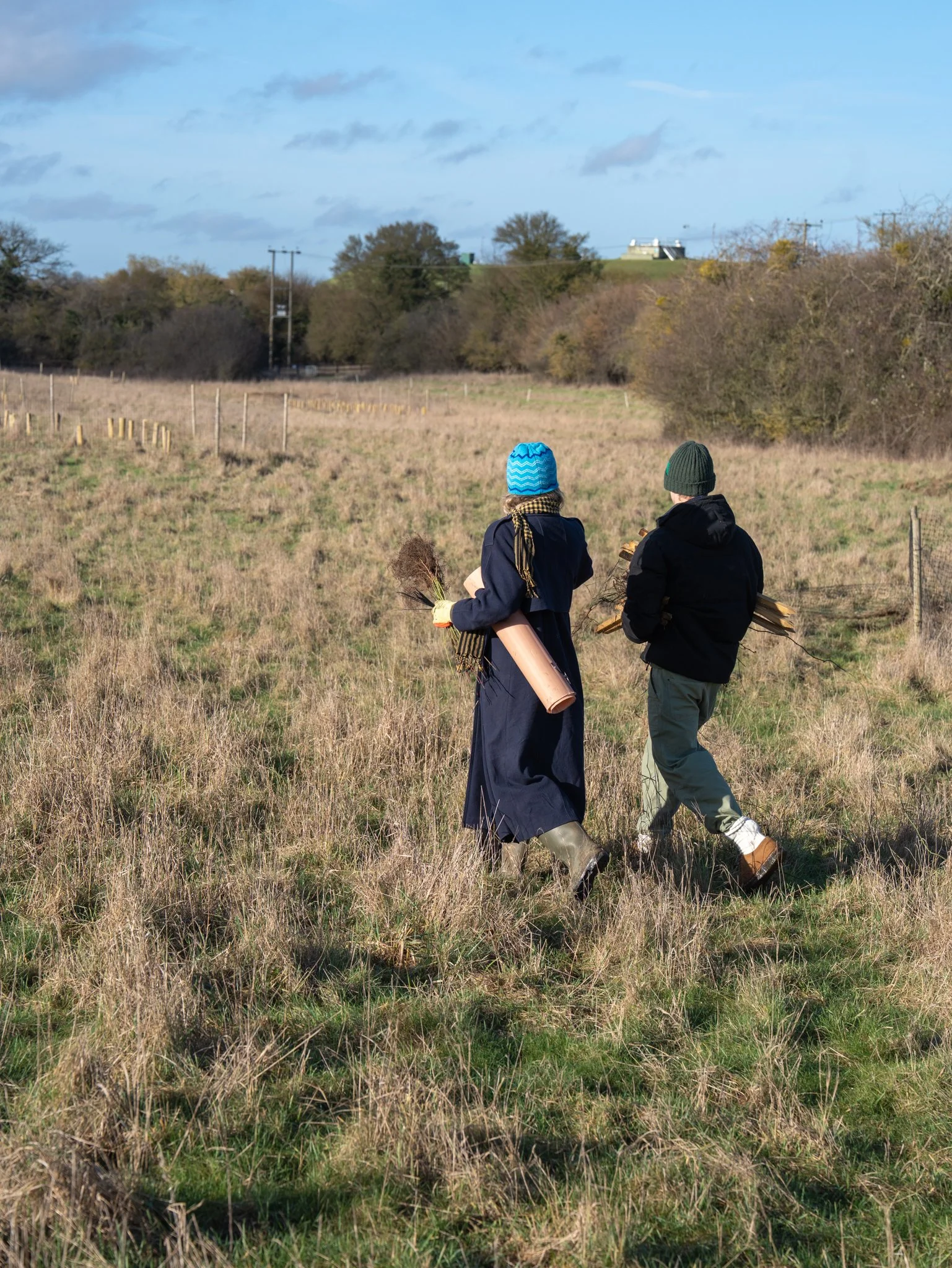 Youngwilders Wood Pasture Restoration, Pounce Hall, Essex, 24-01-26-09.jpg