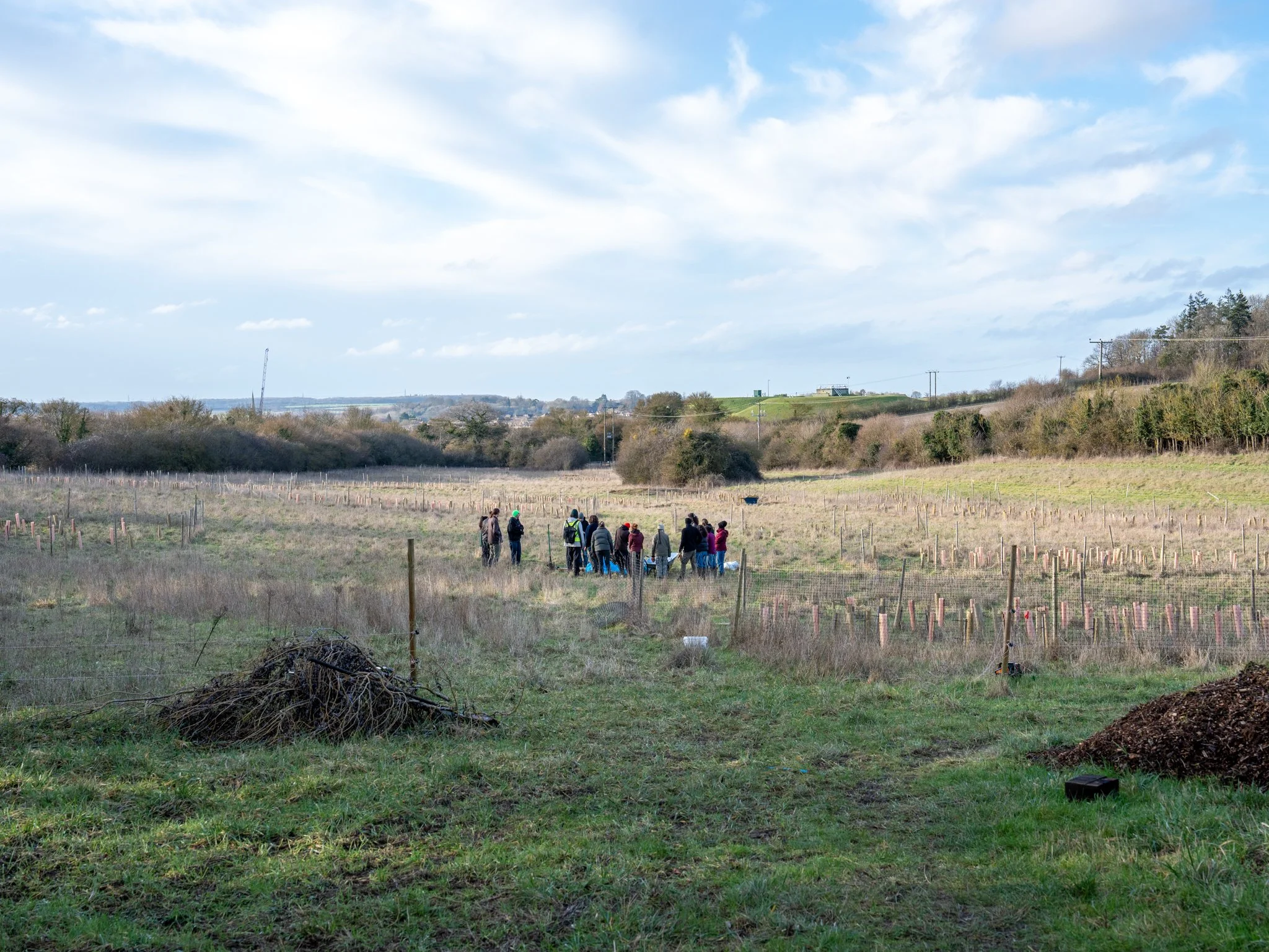 Youngwilders Wood Pasture Restoration, Pounce Hall, Essex, 24-01-26-30.jpg