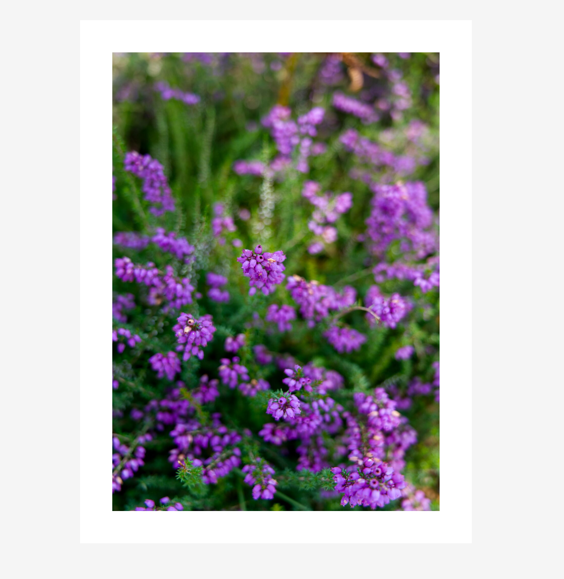 Screenshot 2026-01-07 144100.png