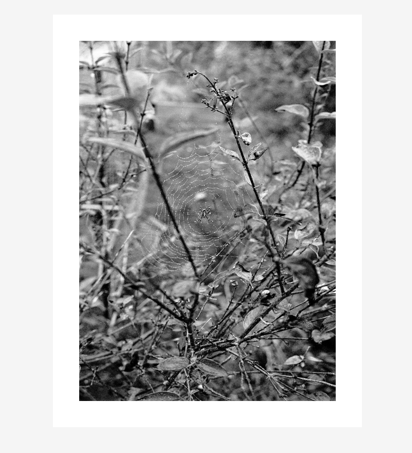 Screenshot 2026-01-07 142915.png