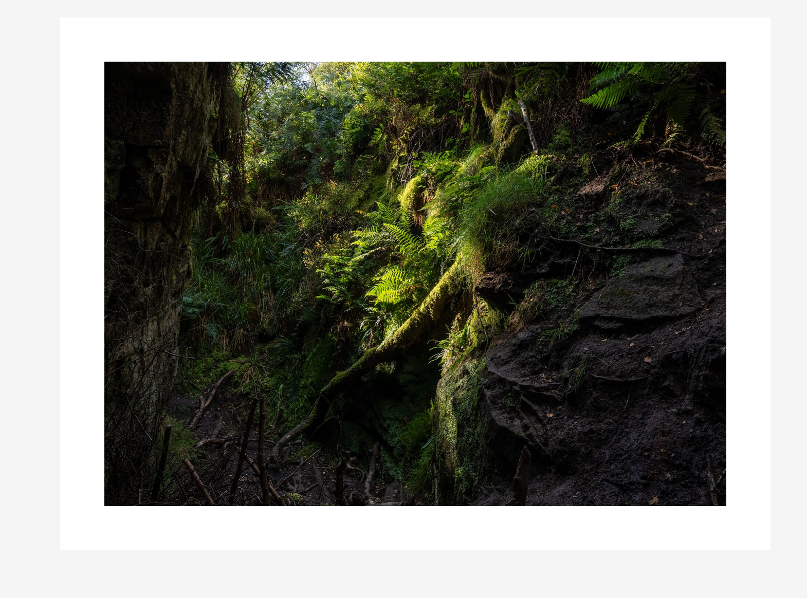 Screenshot 2026-01-07 145247.png