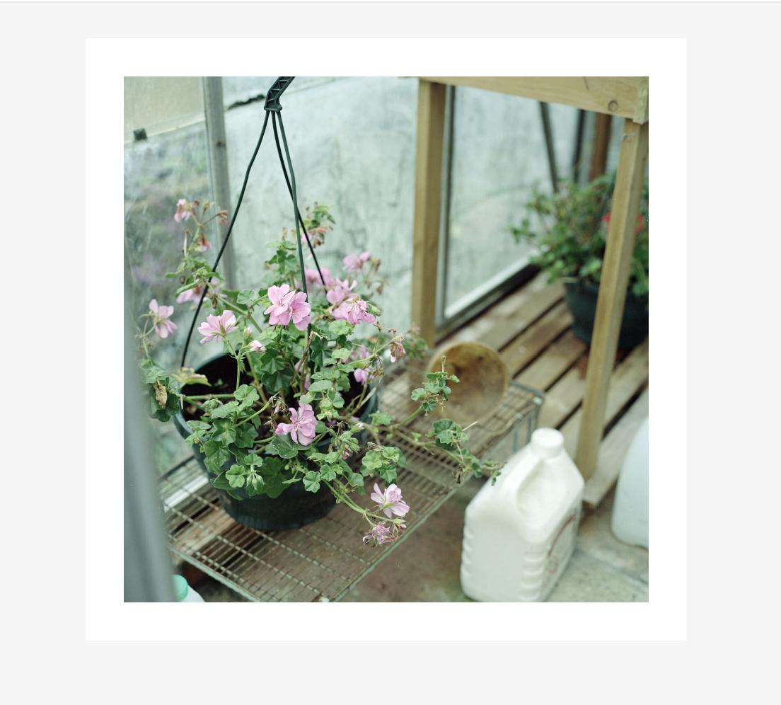 Screenshot 2026-01-07 145747.png