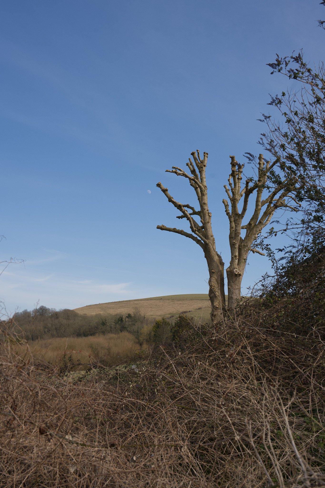 River Adur Photo-walk, Saturday 2nd May 2026
