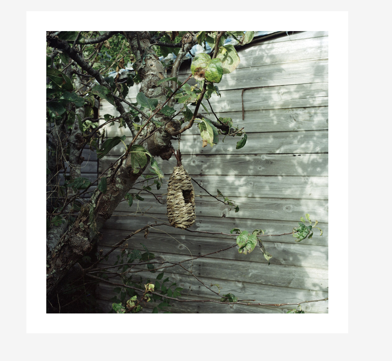 Screenshot 2026-01-07 150145.png