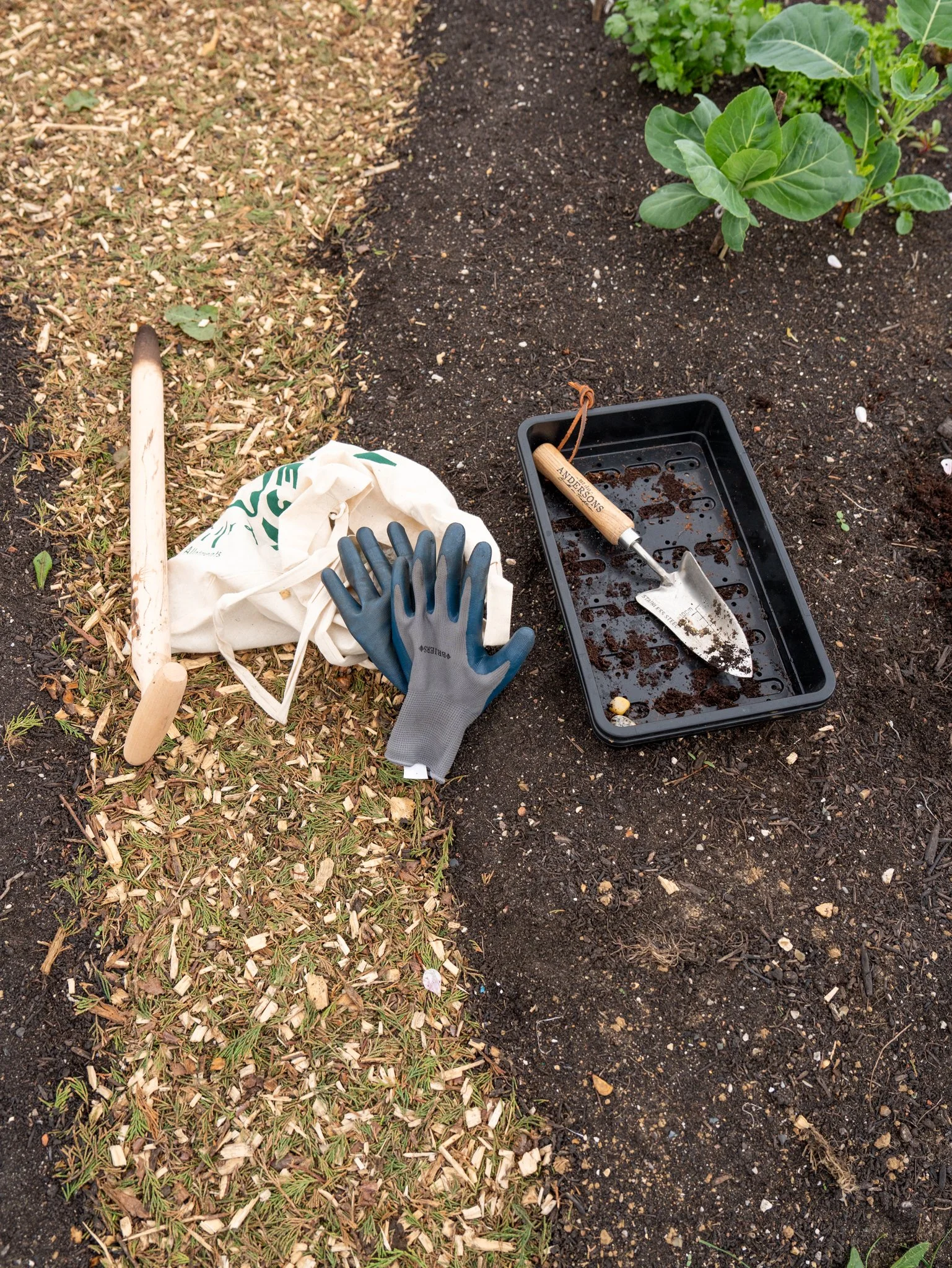 Roots Allotments - Patching Meadows Grand Opening Event, Sept 2025-50.jpg
