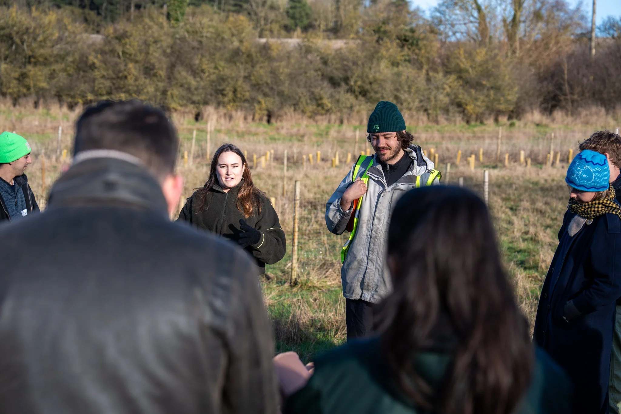Youngwilders Wood Pasture Restoration, Pounce Hall, Essex, 24-01-26-40.jpg