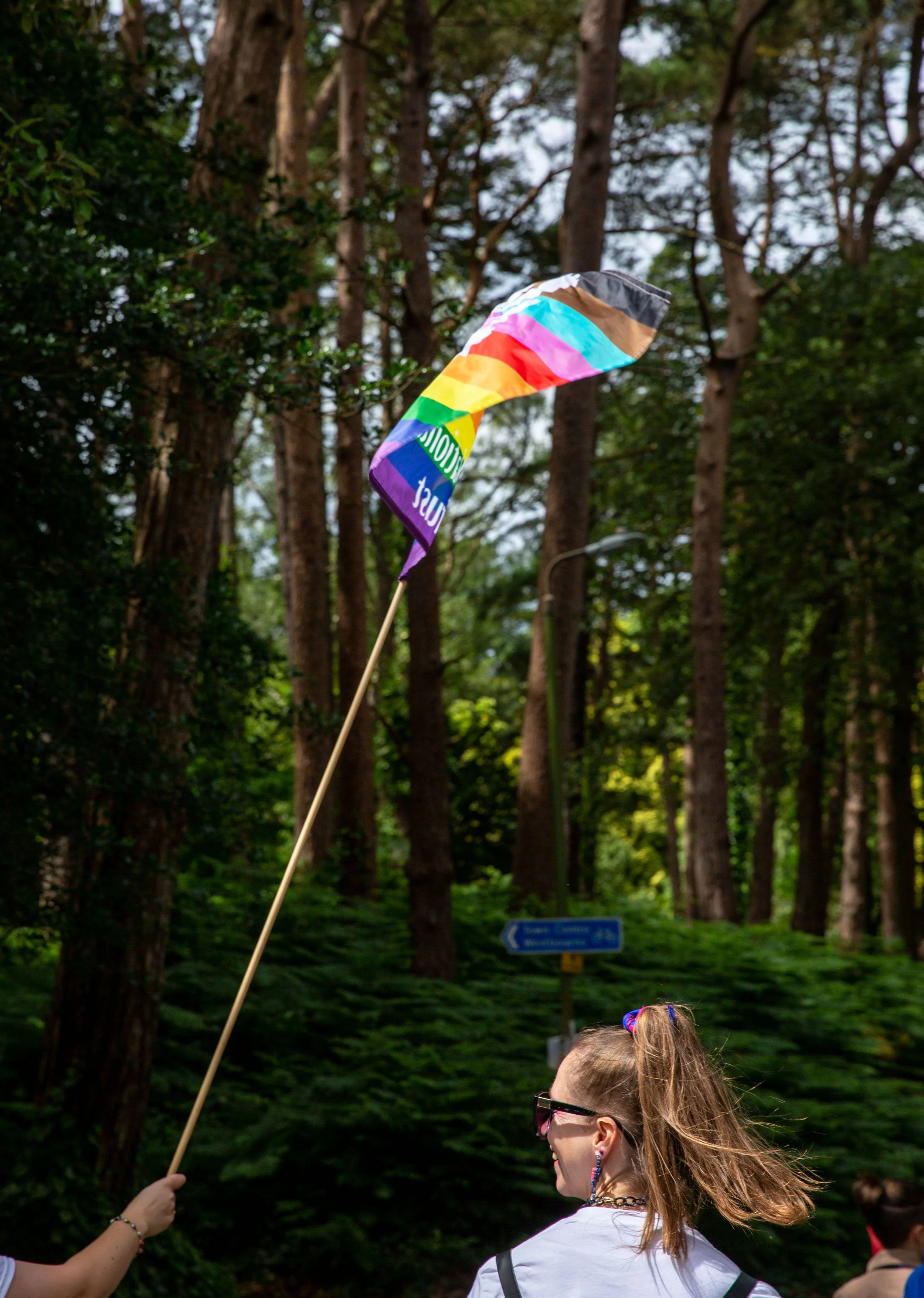 National Trust Pride Parade Flag.jpeg
