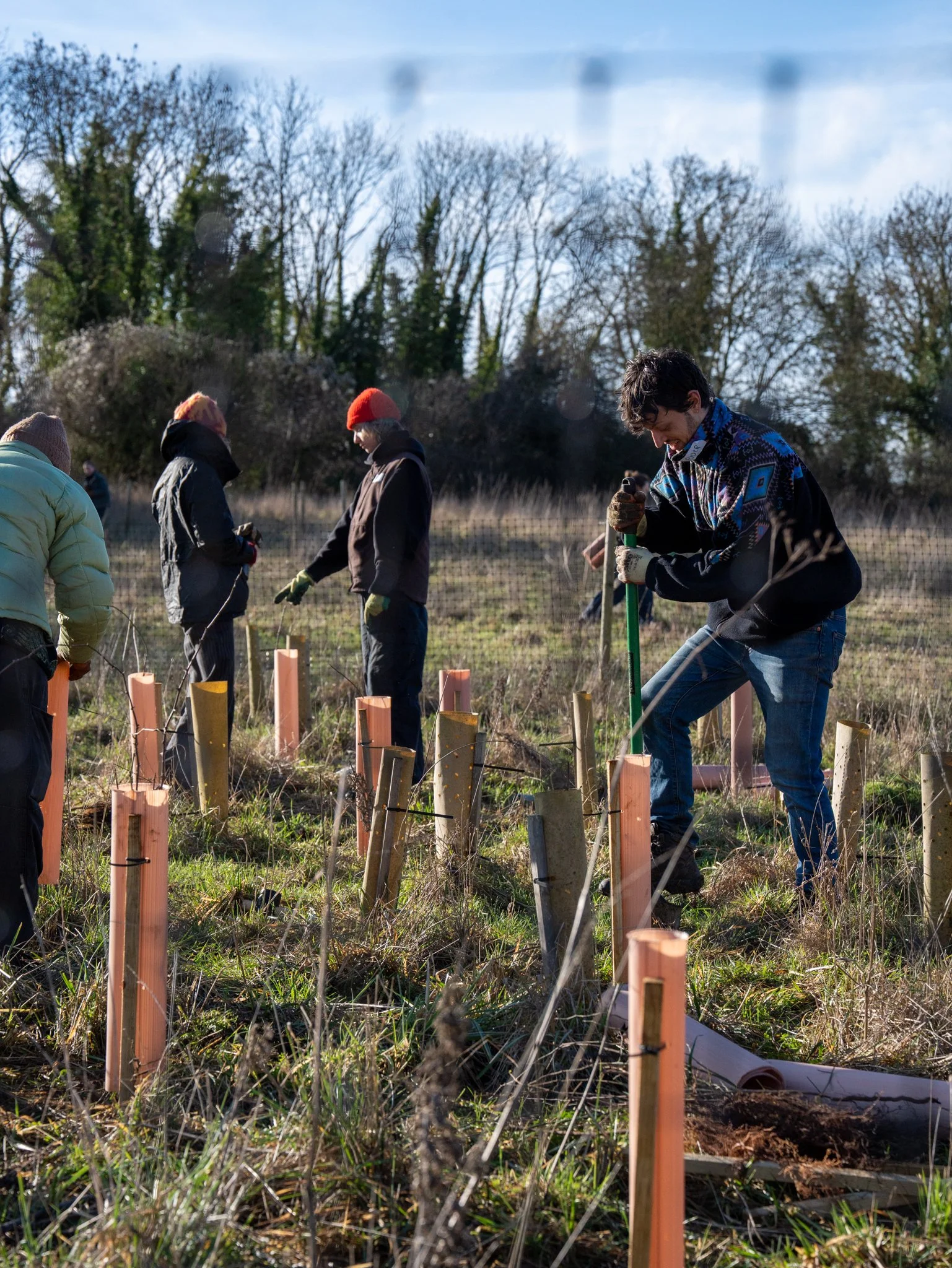 Youngwilders Wood Pasture Restoration, Pounce Hall, Essex, 24-01-26-16.jpg