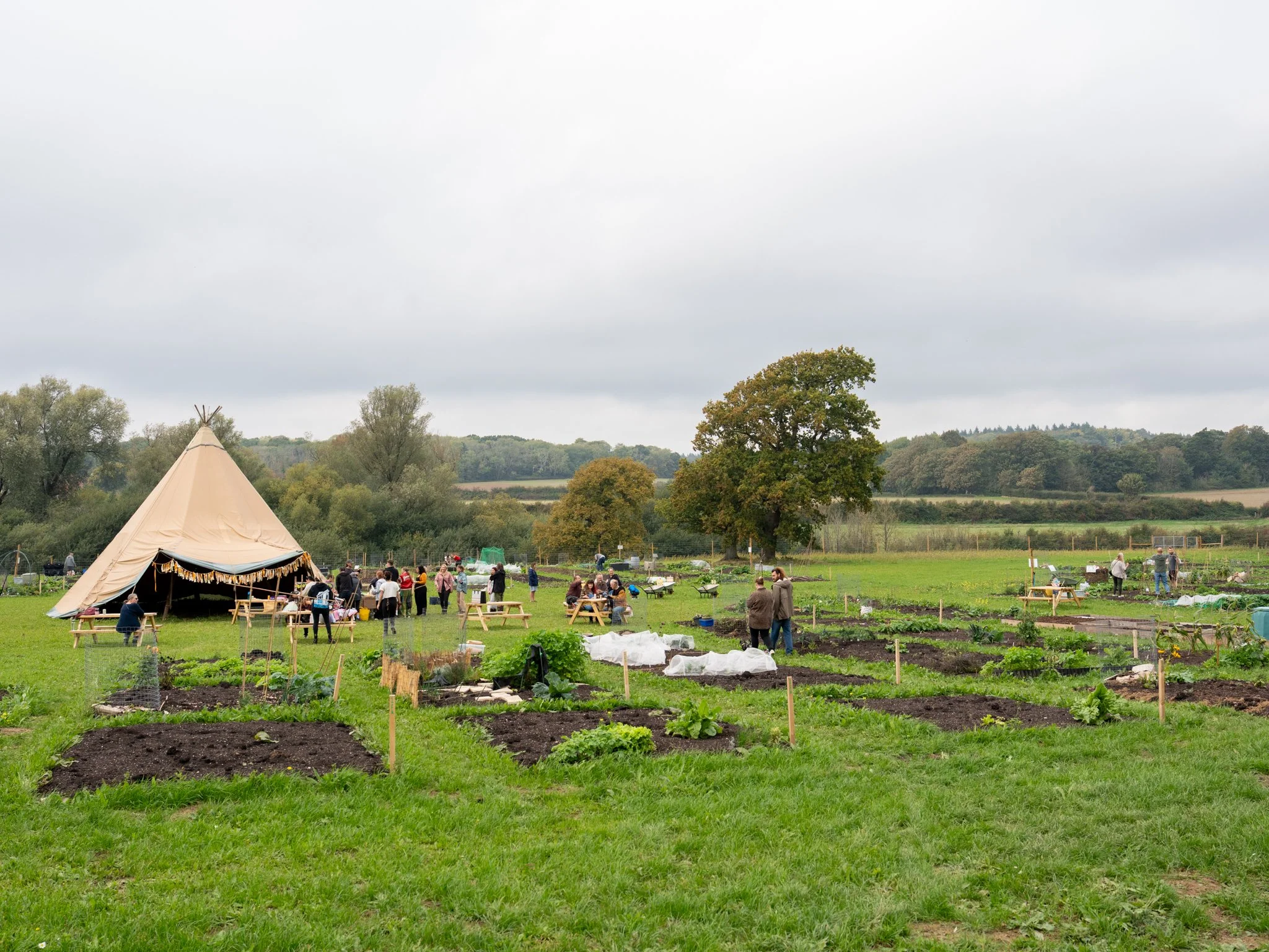 Roots Allotments - Patching Meadows Grand Opening Event, Sept 2025-26.jpg