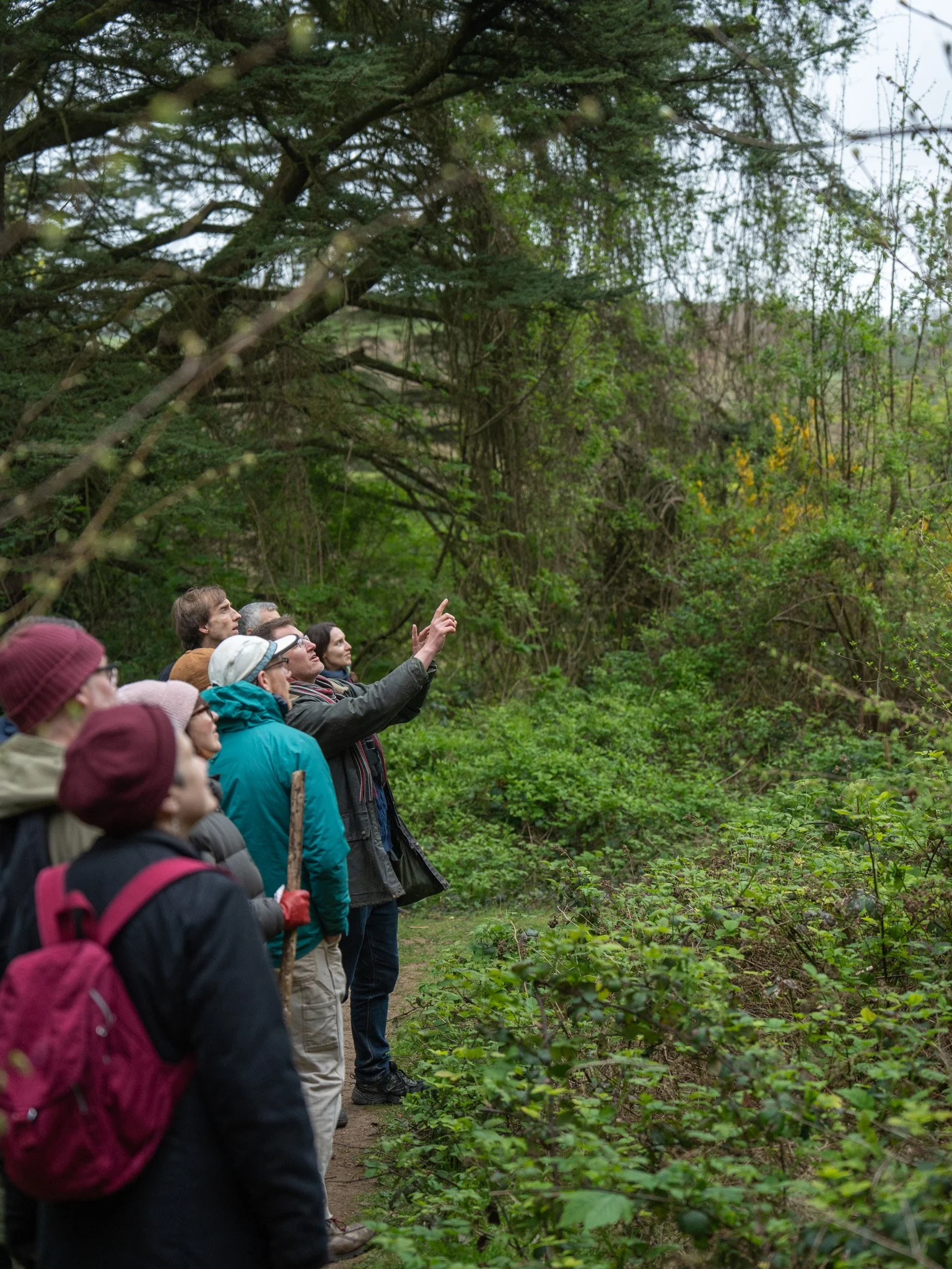 Birdsong Academy, April Birdsong Walkshop, Stamner Park, 11-04-26-16.jpg