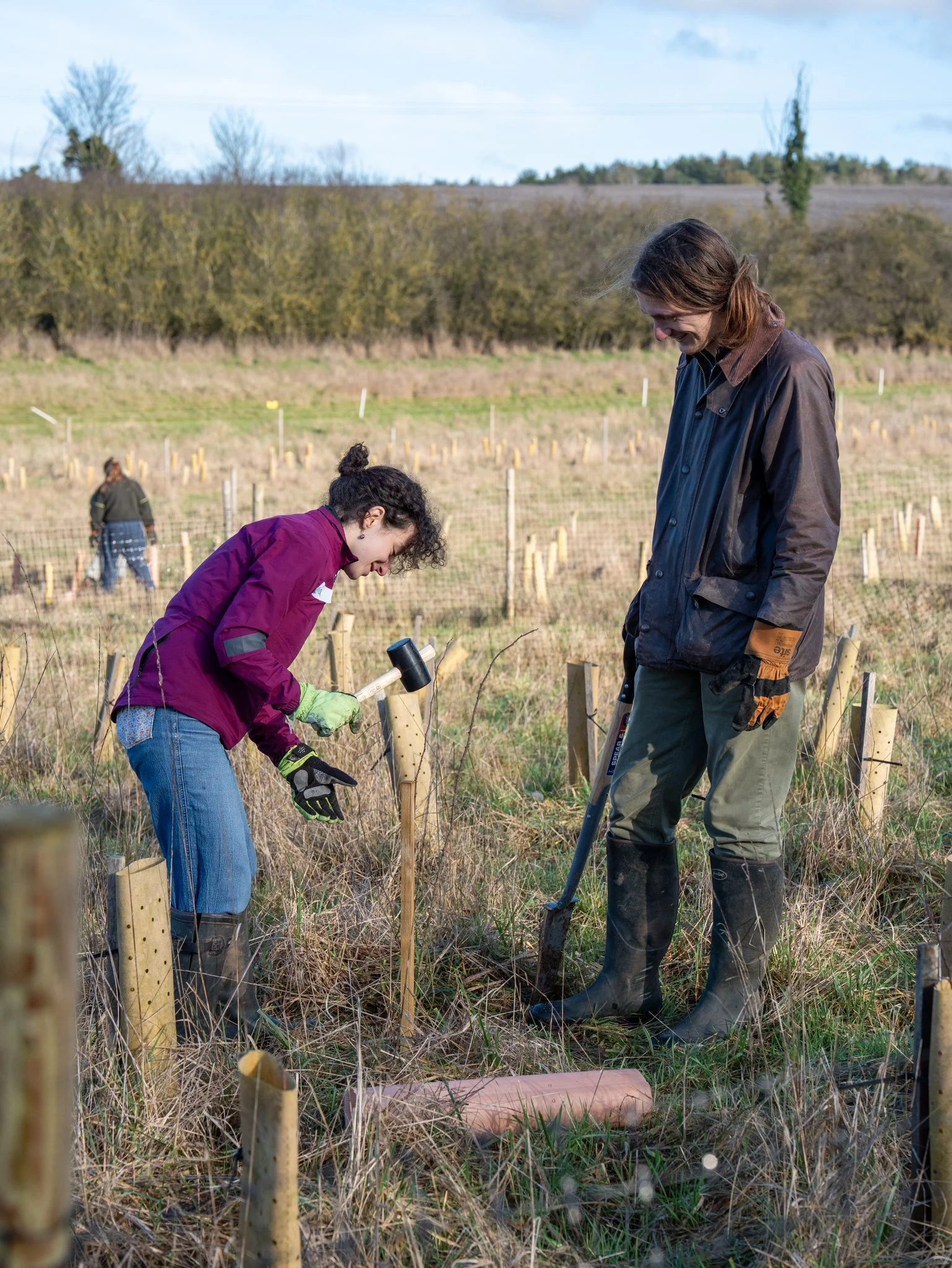 Youngwilders Wood Pasture Restoration, Pounce Hall, Essex, 24-01-26-12.jpg