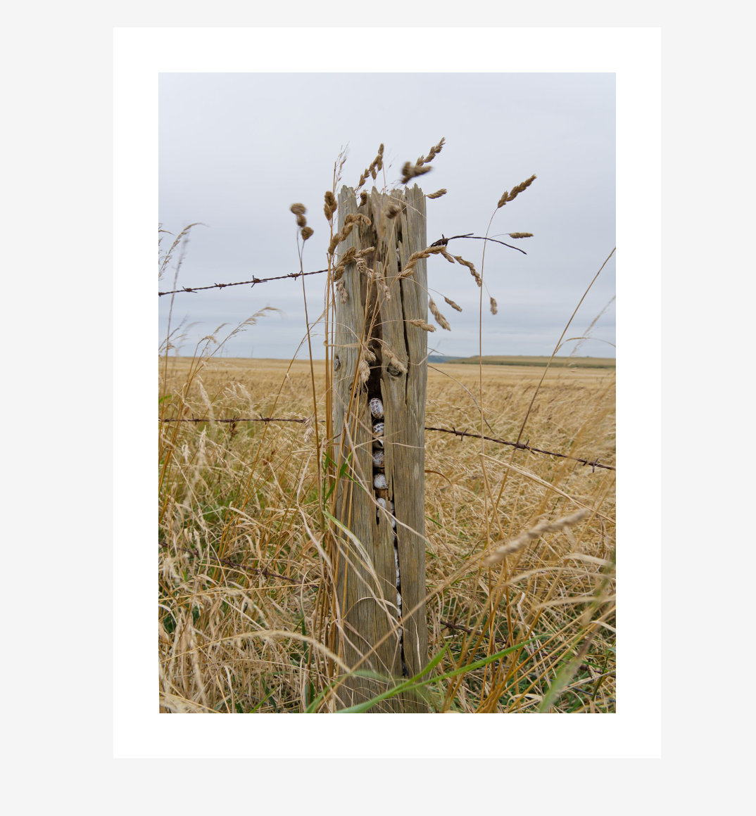 Screenshot 2026-01-07 143515.png