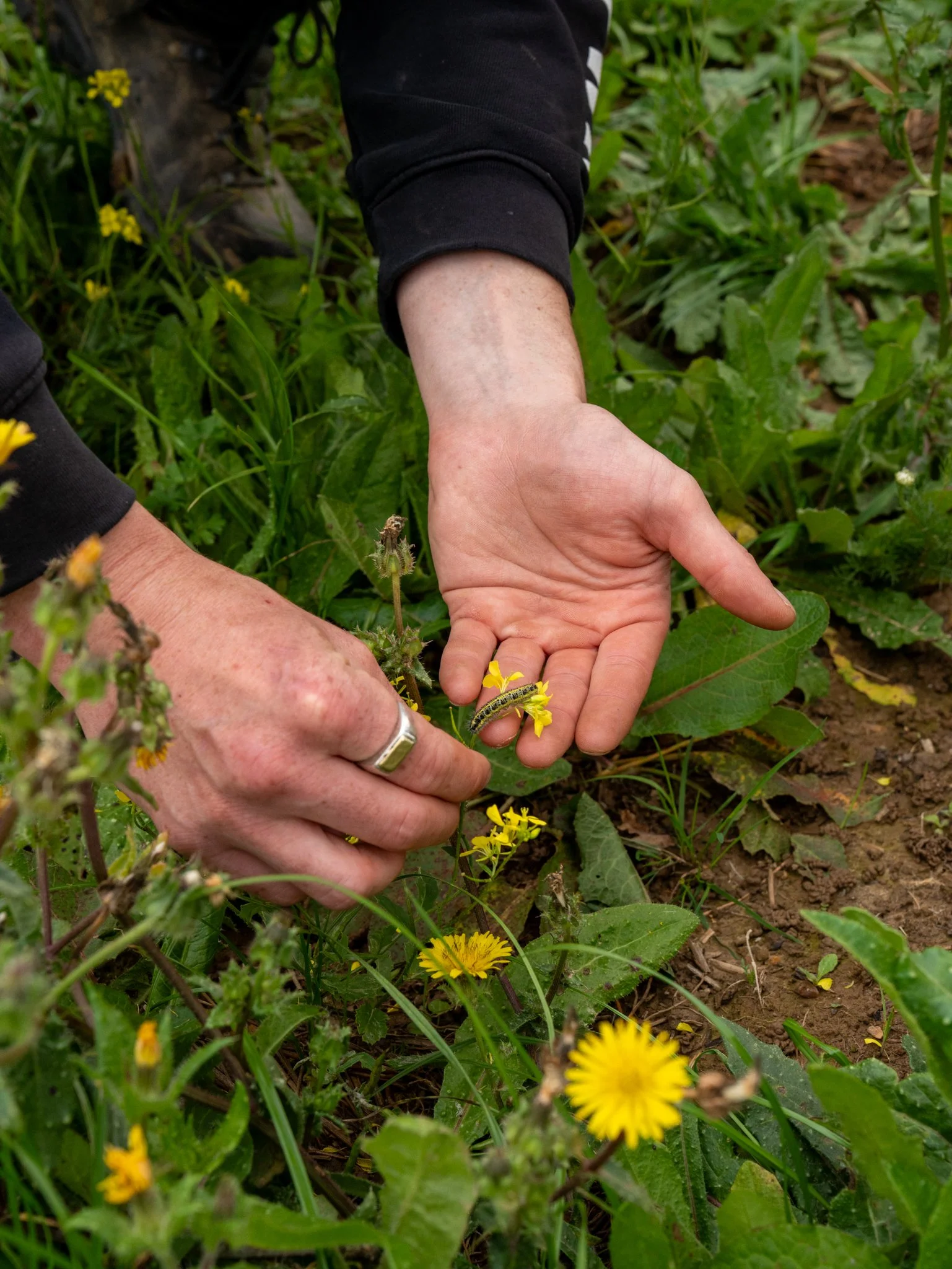 Roots Allotments - Patching Meadows Grand Opening Event, Sept 2025-44.jpg