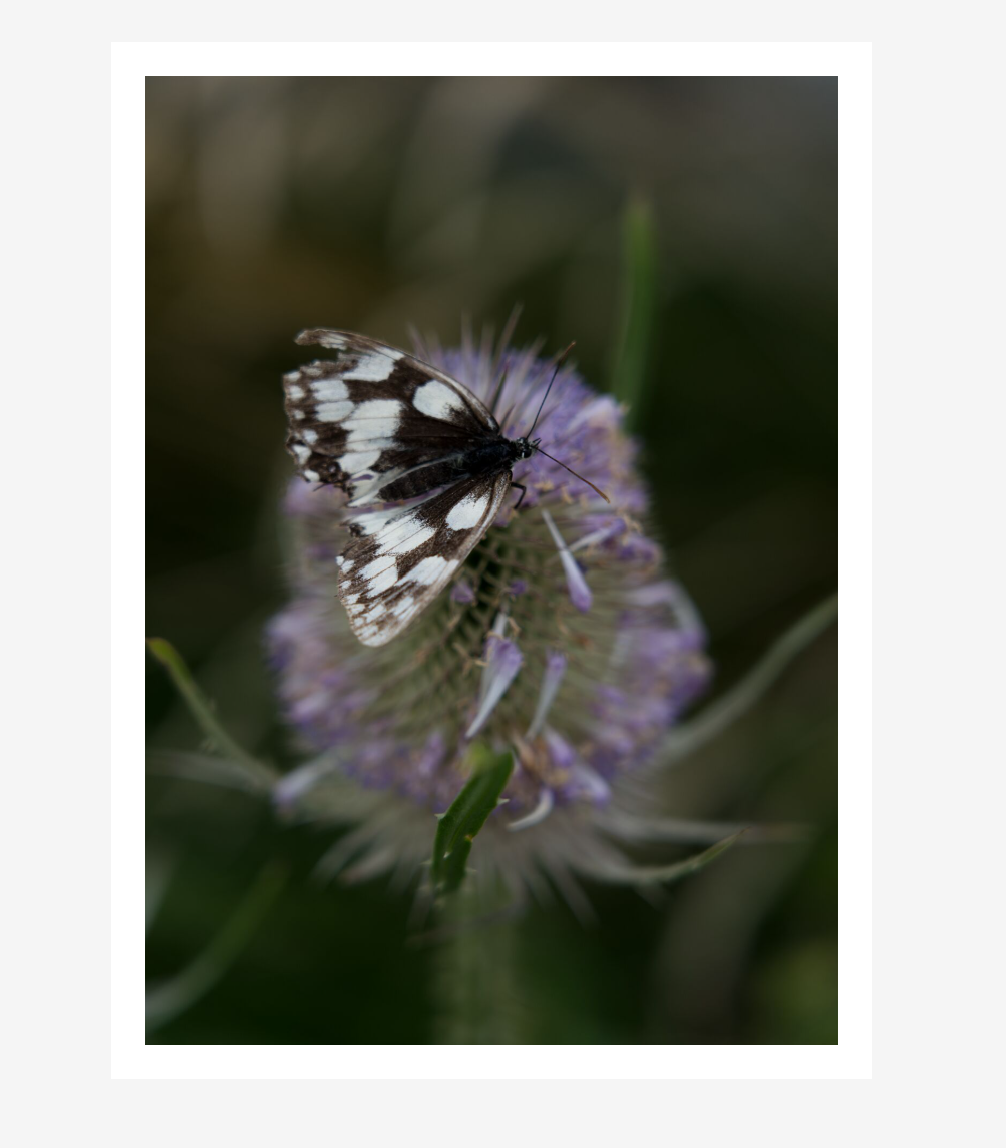 Screenshot 2026-01-07 150735.png