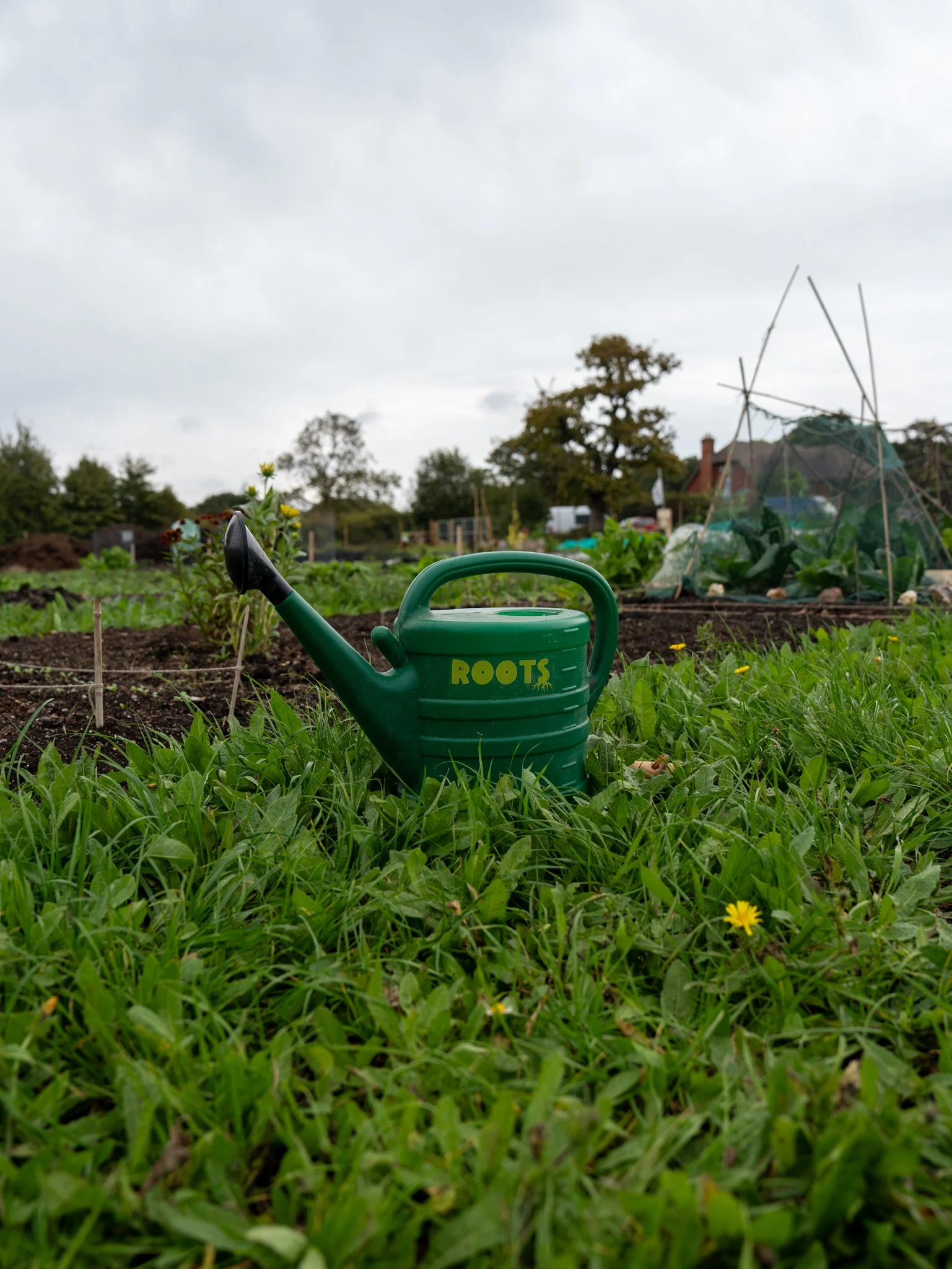 Roots Allotments - Patching Meadows Grand Opening Event, Sept 2025-51.jpg
