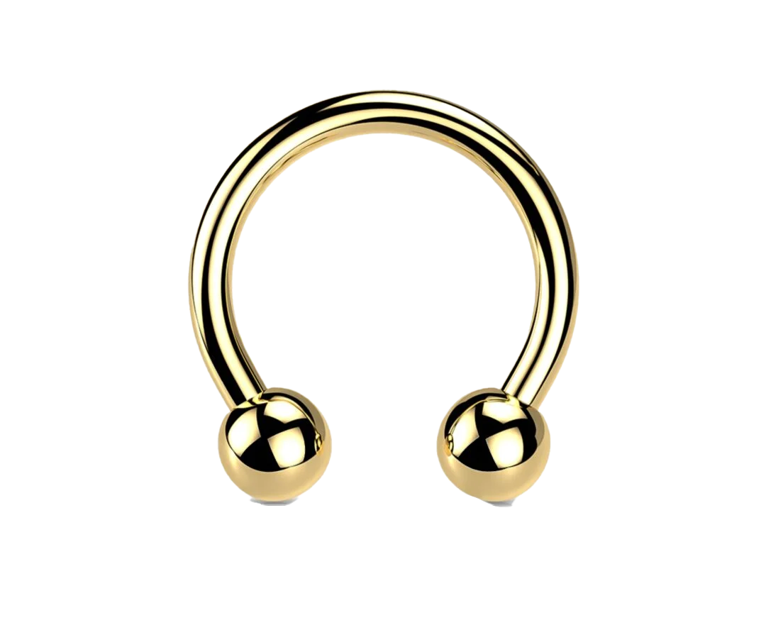 Horseshoe barbell GT.png