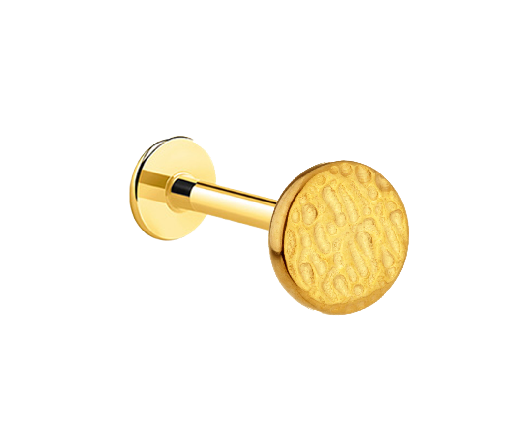 textured disc cut out clear background .png