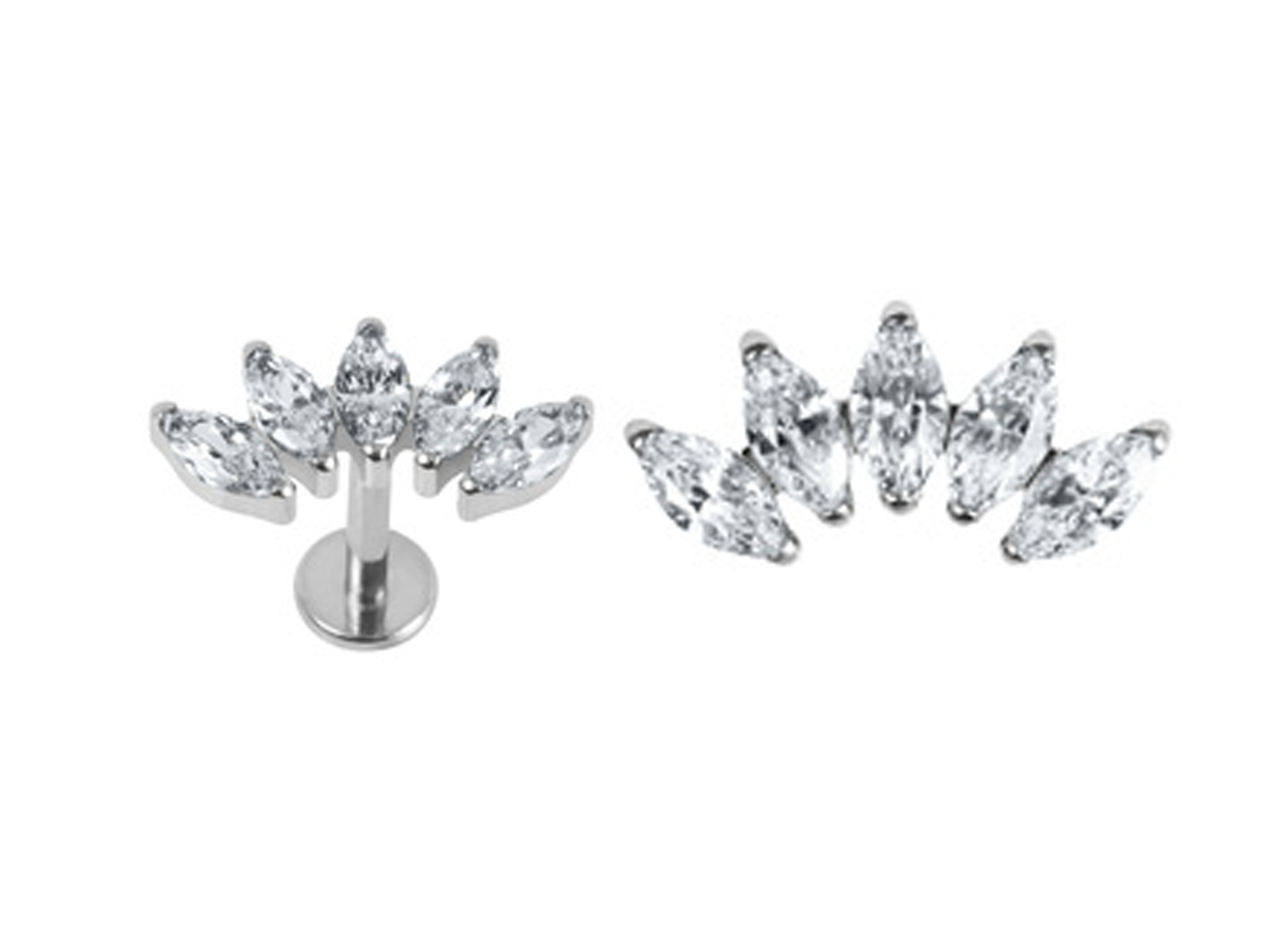 Marquise fan Ti .png