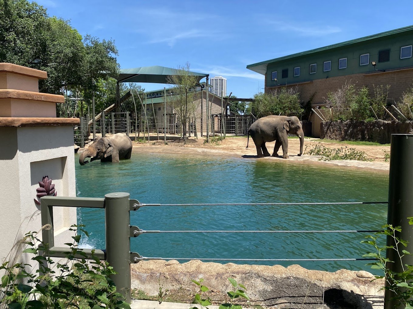 A Day at the Houston Zoo