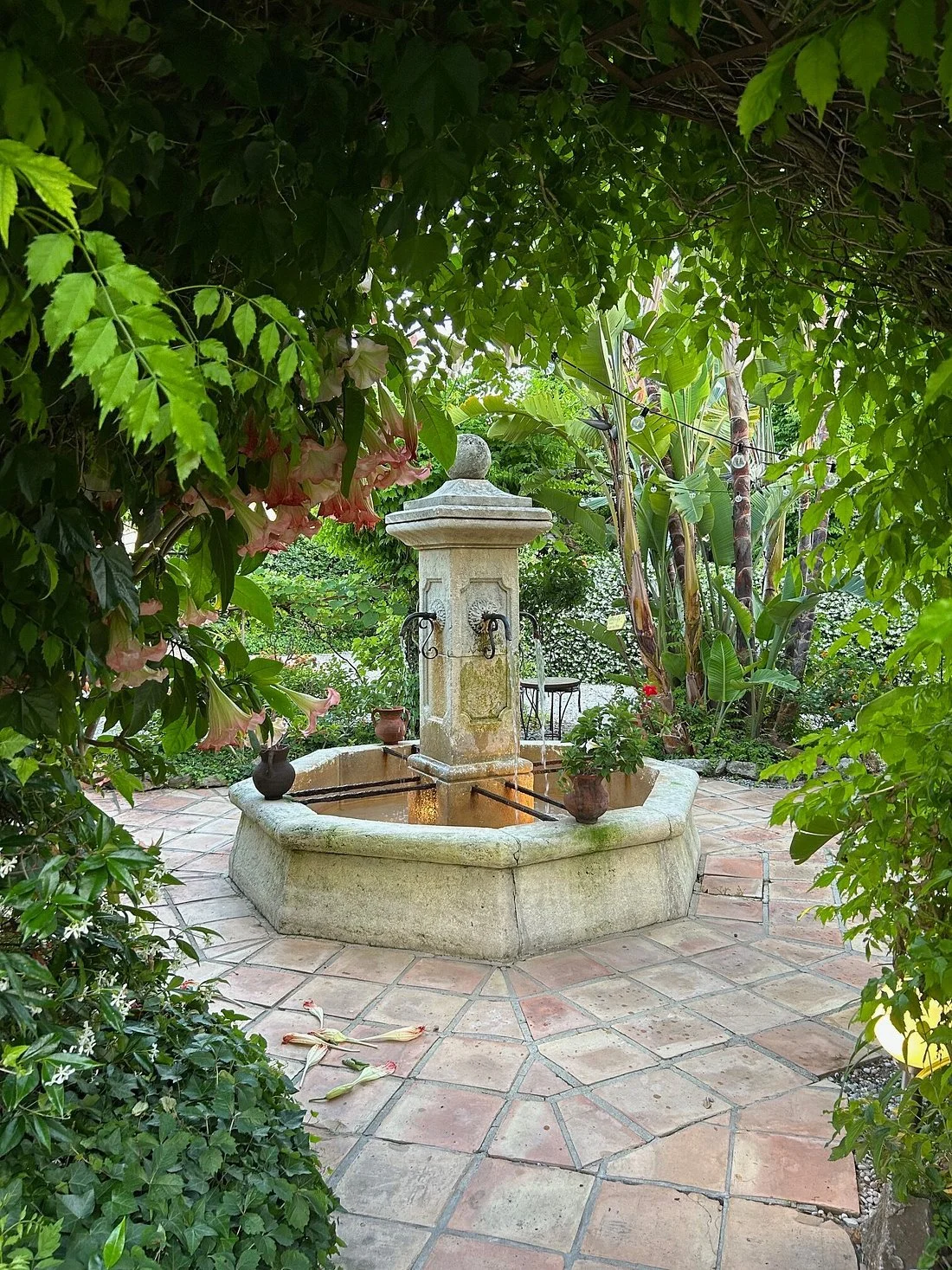 garden.jpg