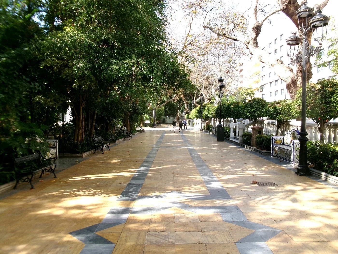 alameda1.jpg